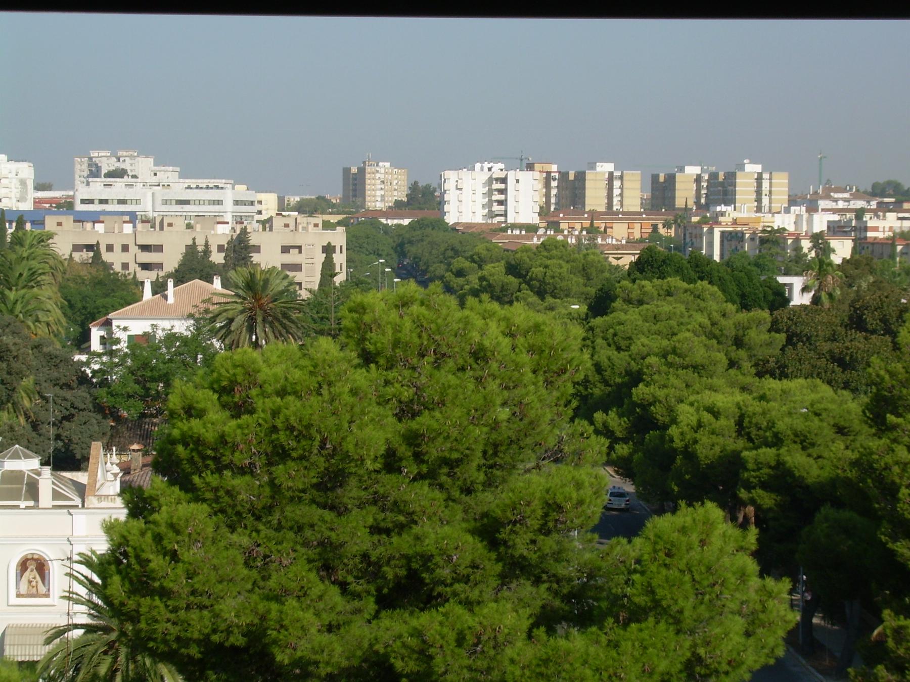 Alquiler de apartamento en Jerez de la Frontera
