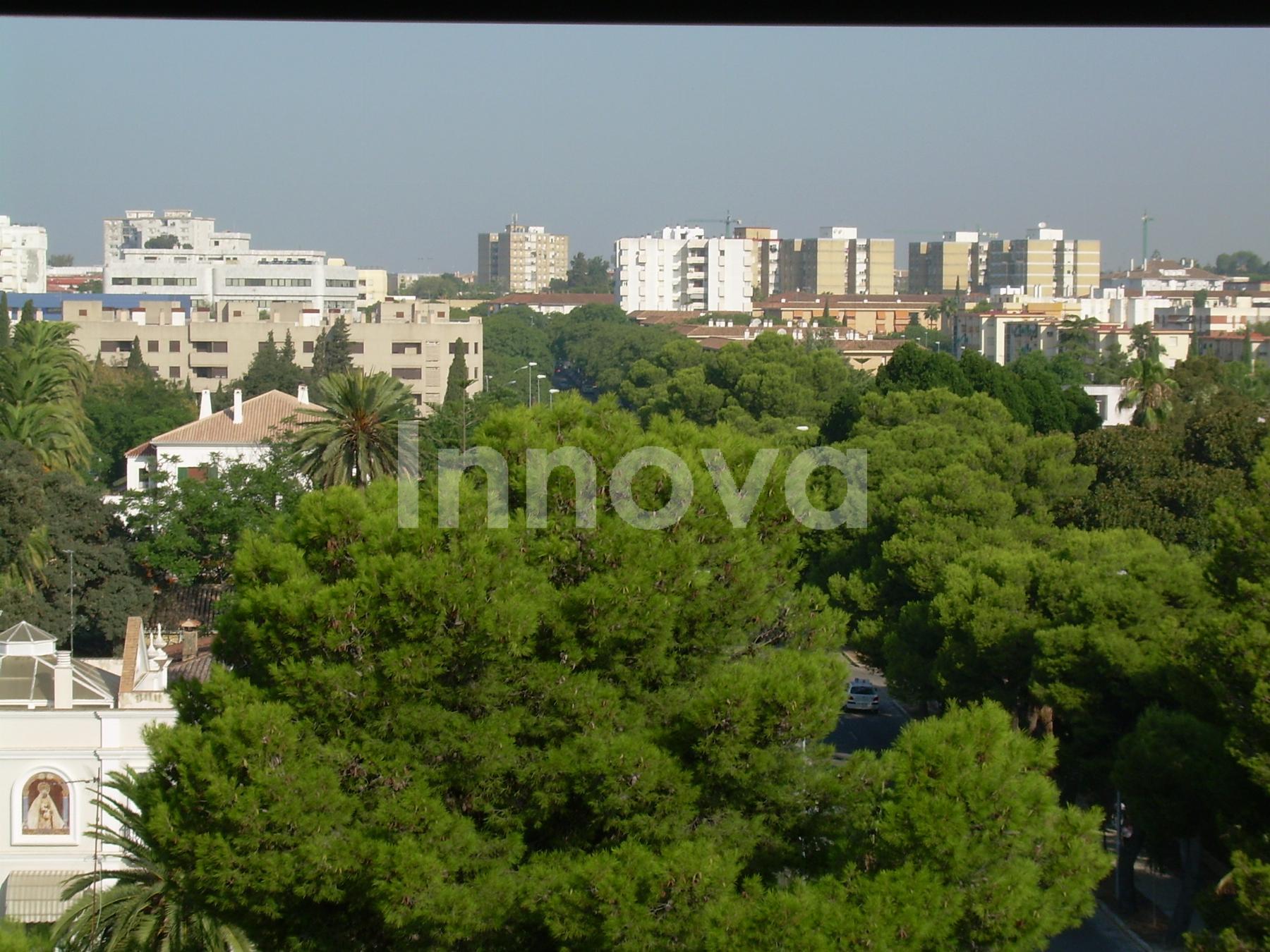 For rent of apartment in Jerez de la Frontera