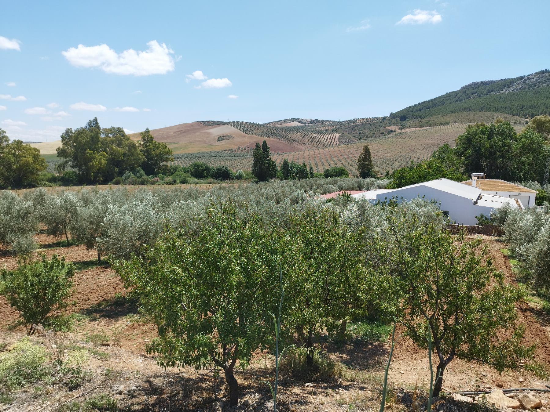 Venta de chalet en Teba