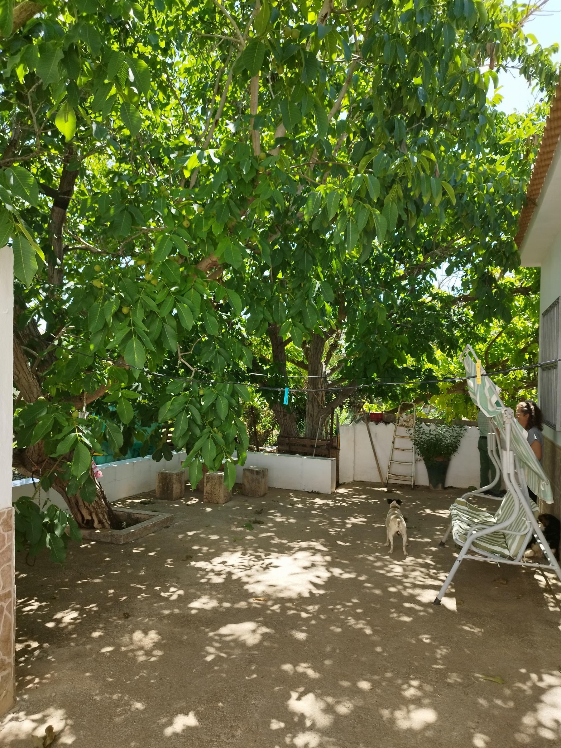 Venta de chalet en Teba