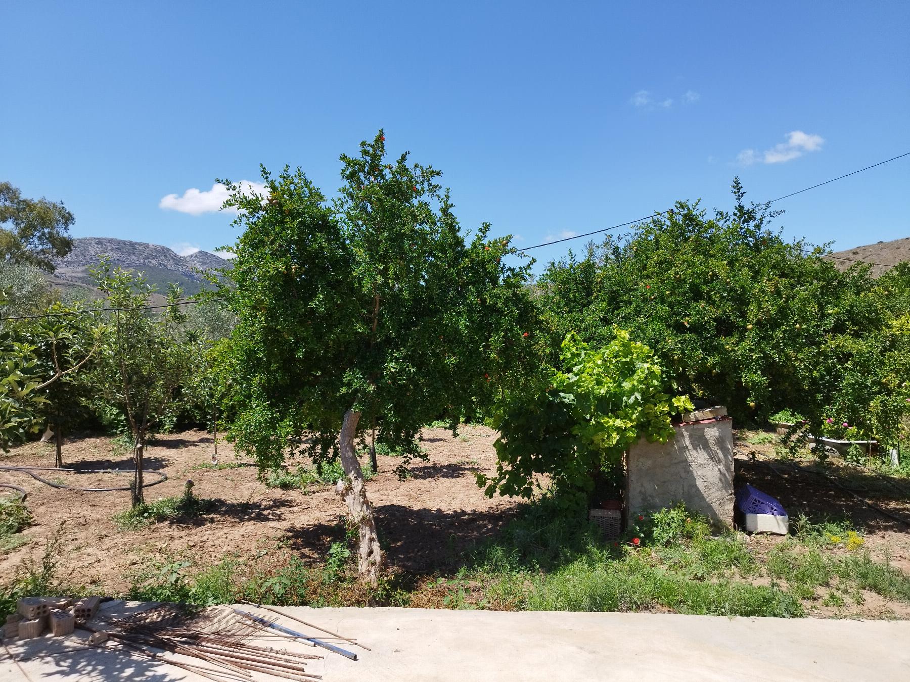 Venta de chalet en Teba