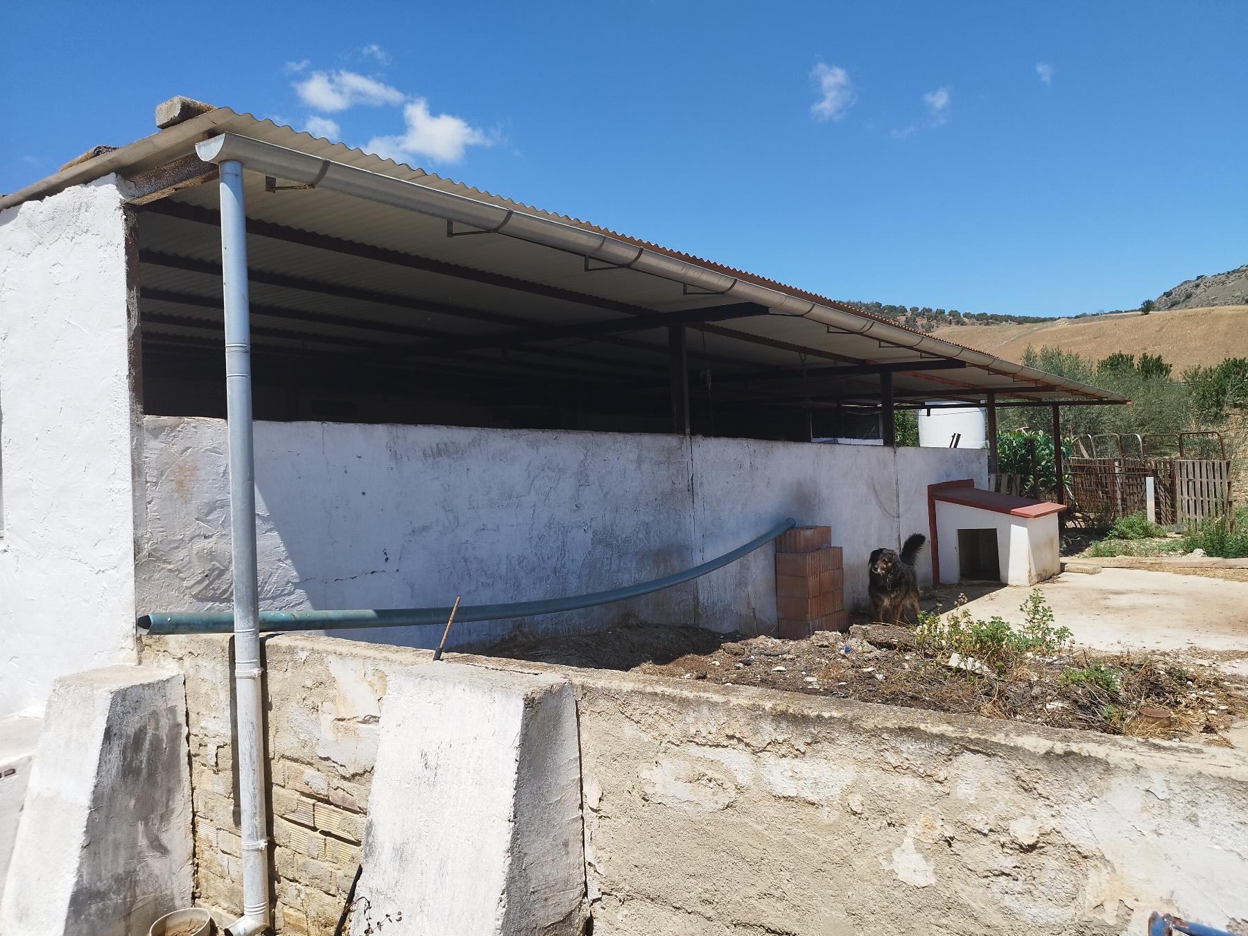 Venta de chalet en Teba