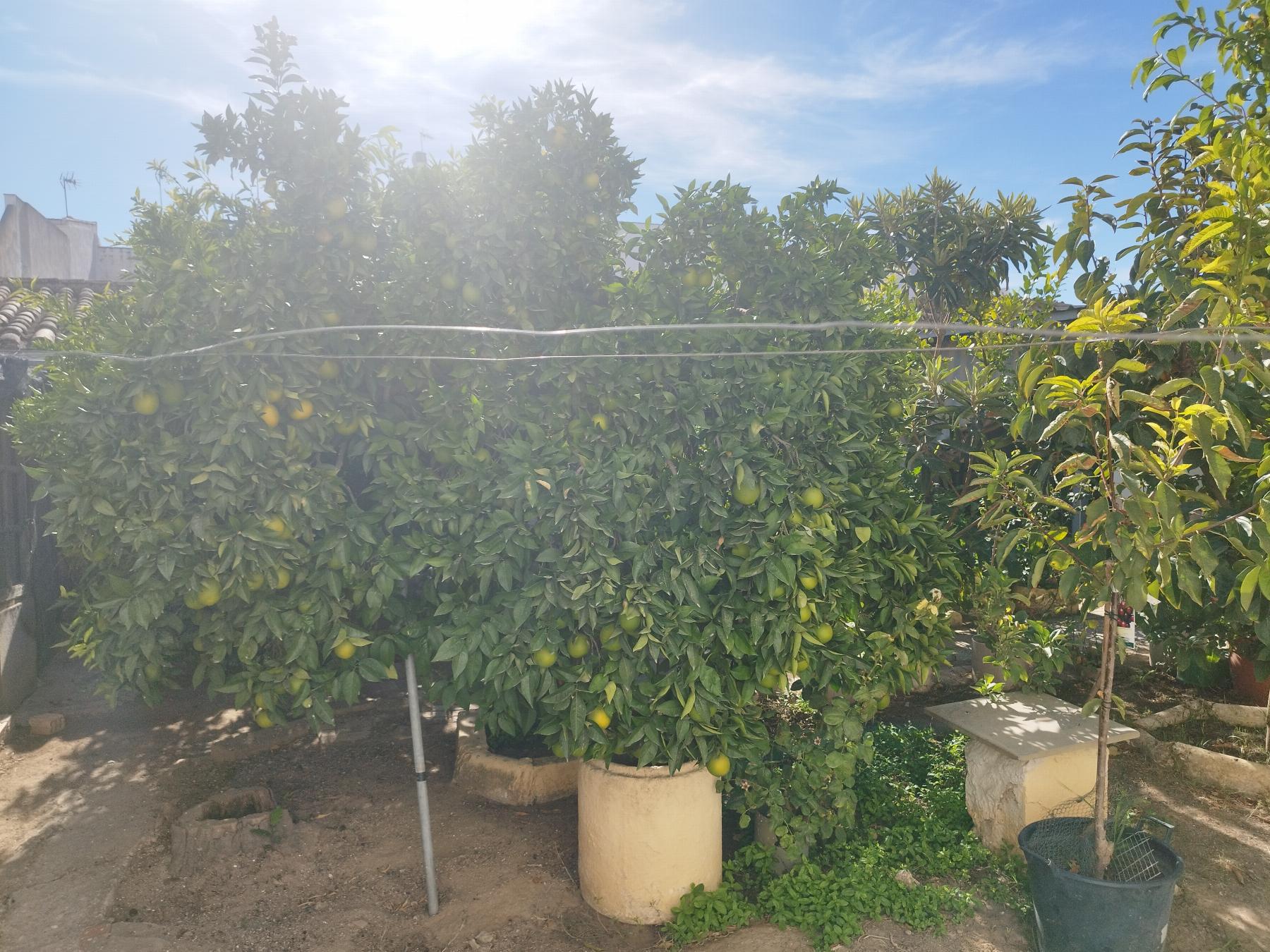 Venta de casa en Campillos