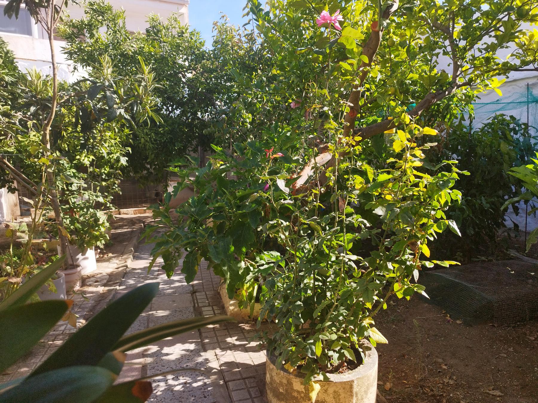 Venta de casa en Campillos