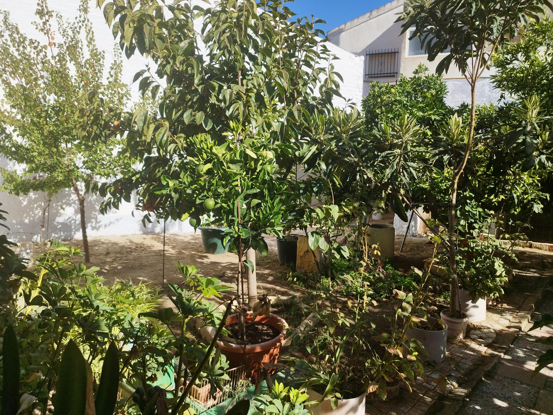 Venta de casa en Campillos