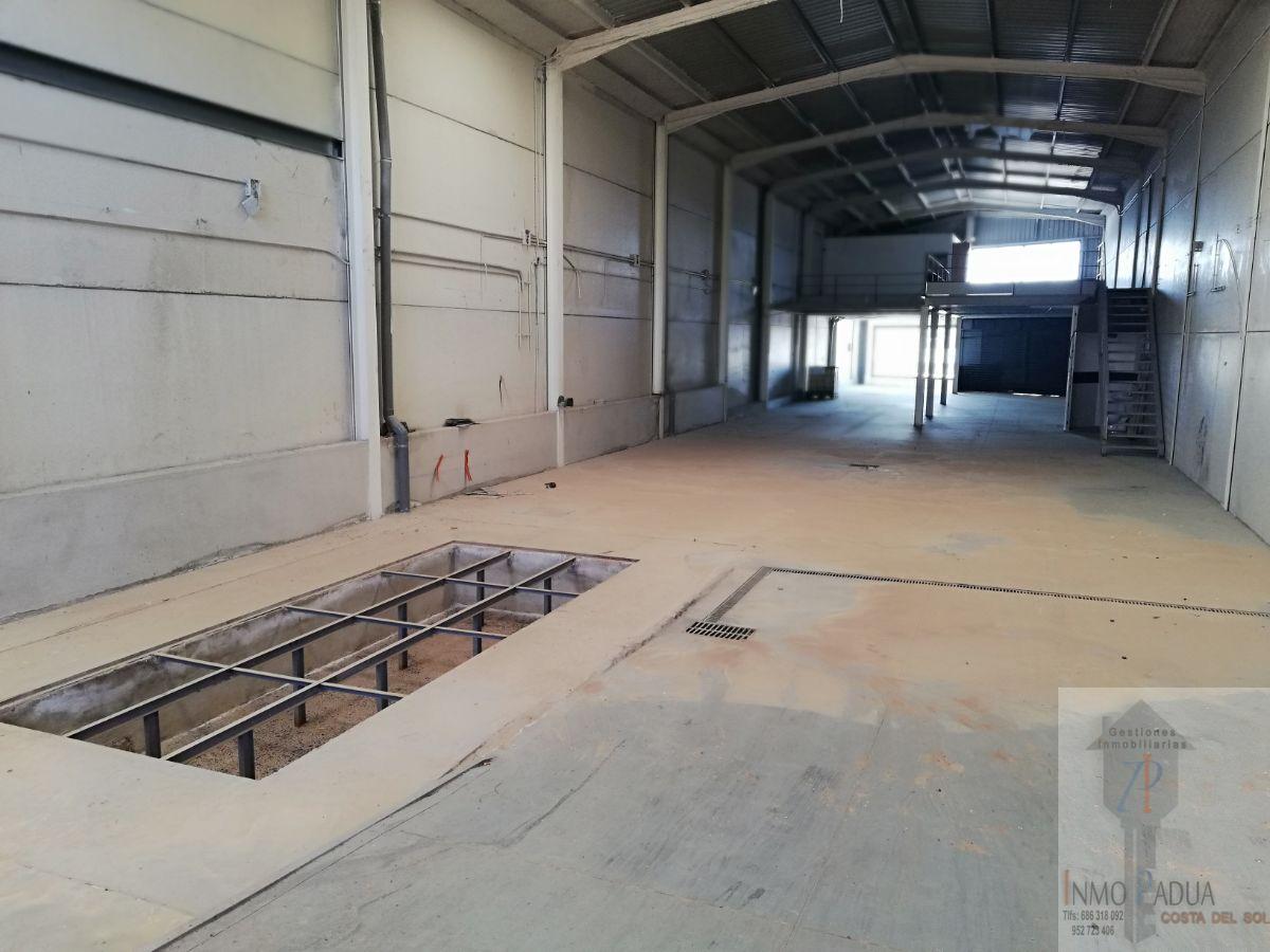 For sale of industrial plant/warehouse in Campillos