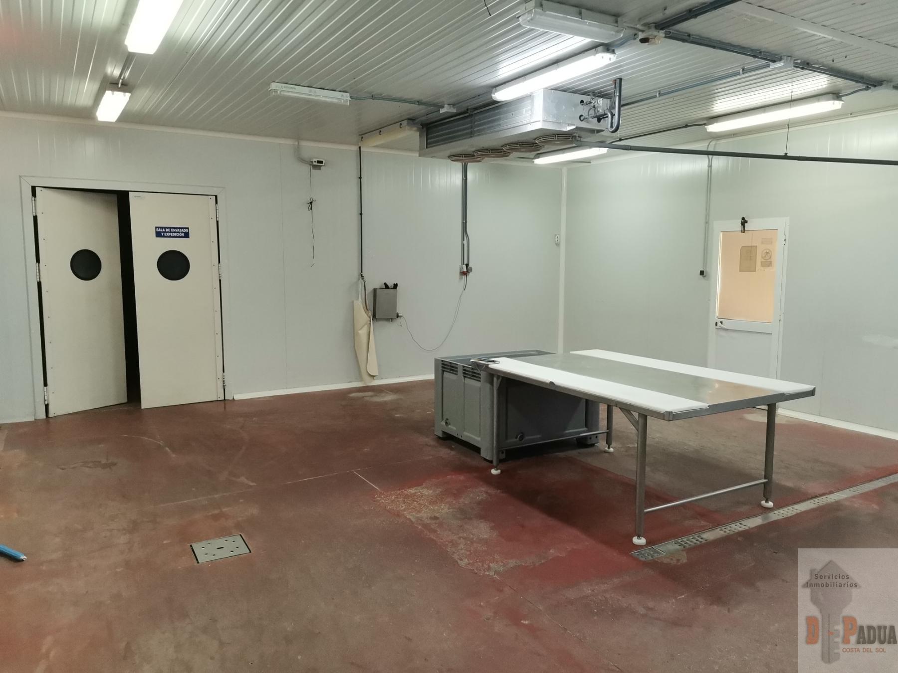 For sale of industrial plant/warehouse in Campillos