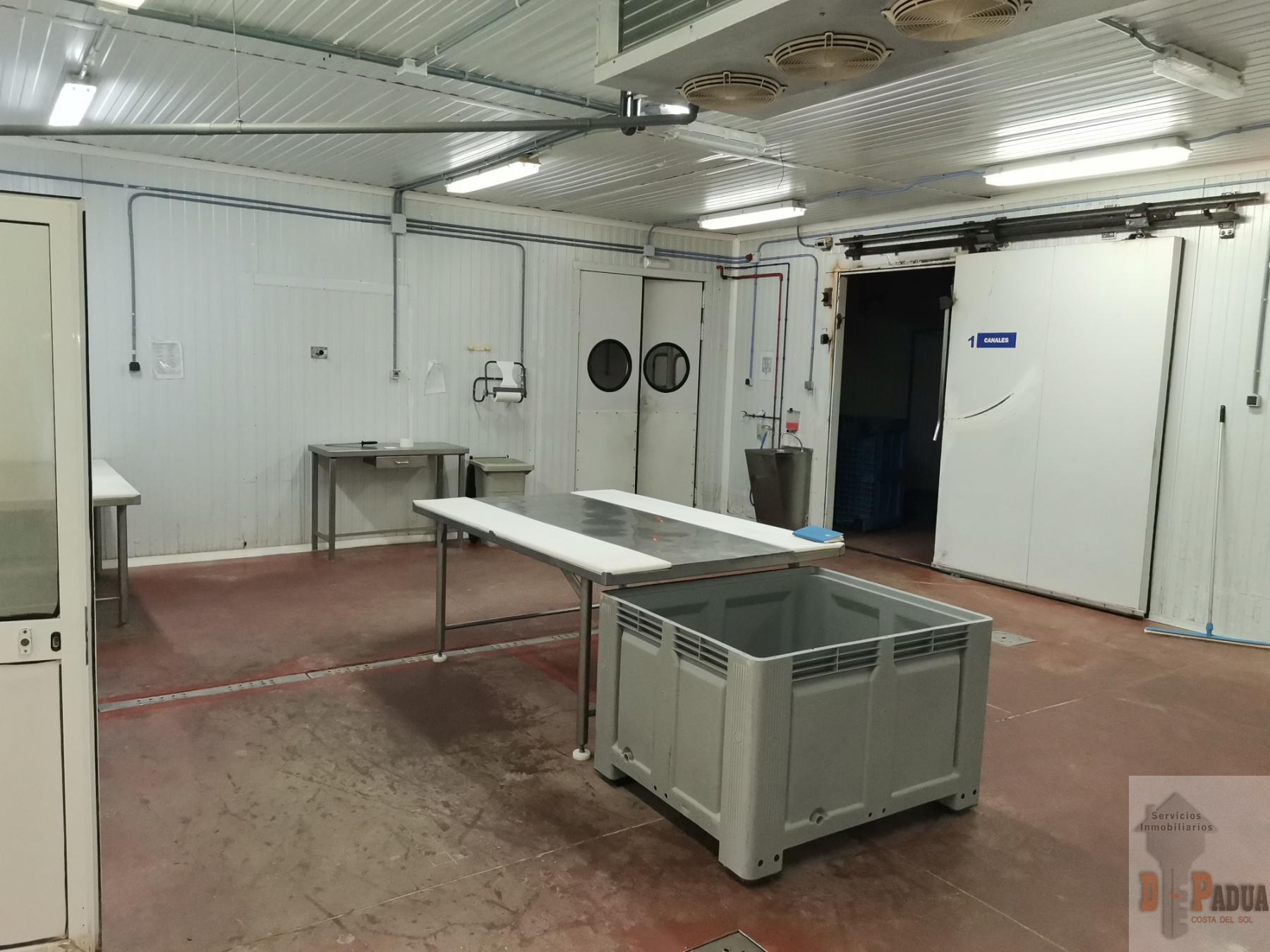 For sale of industrial plant/warehouse in Campillos