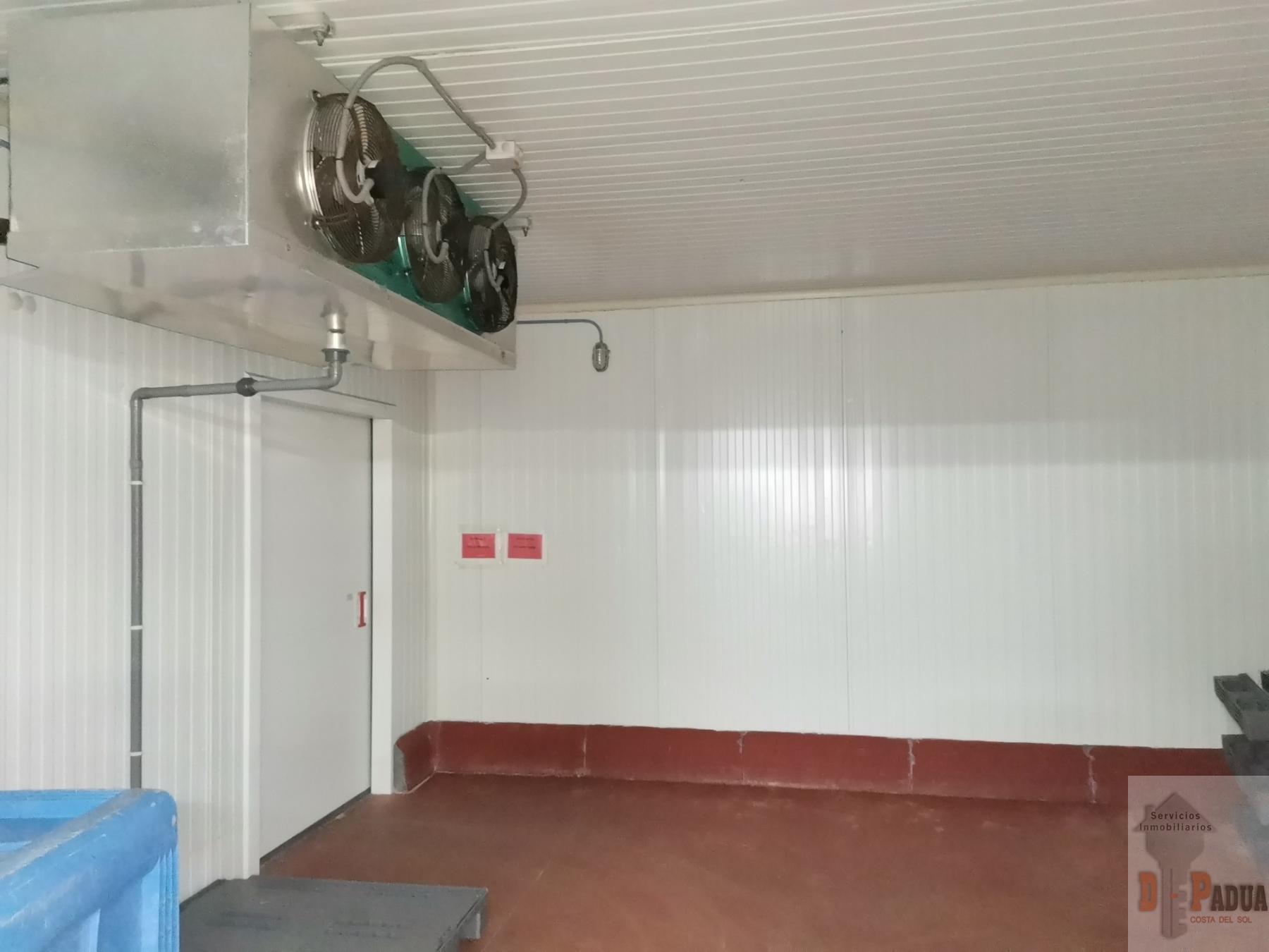 For sale of industrial plant/warehouse in Campillos