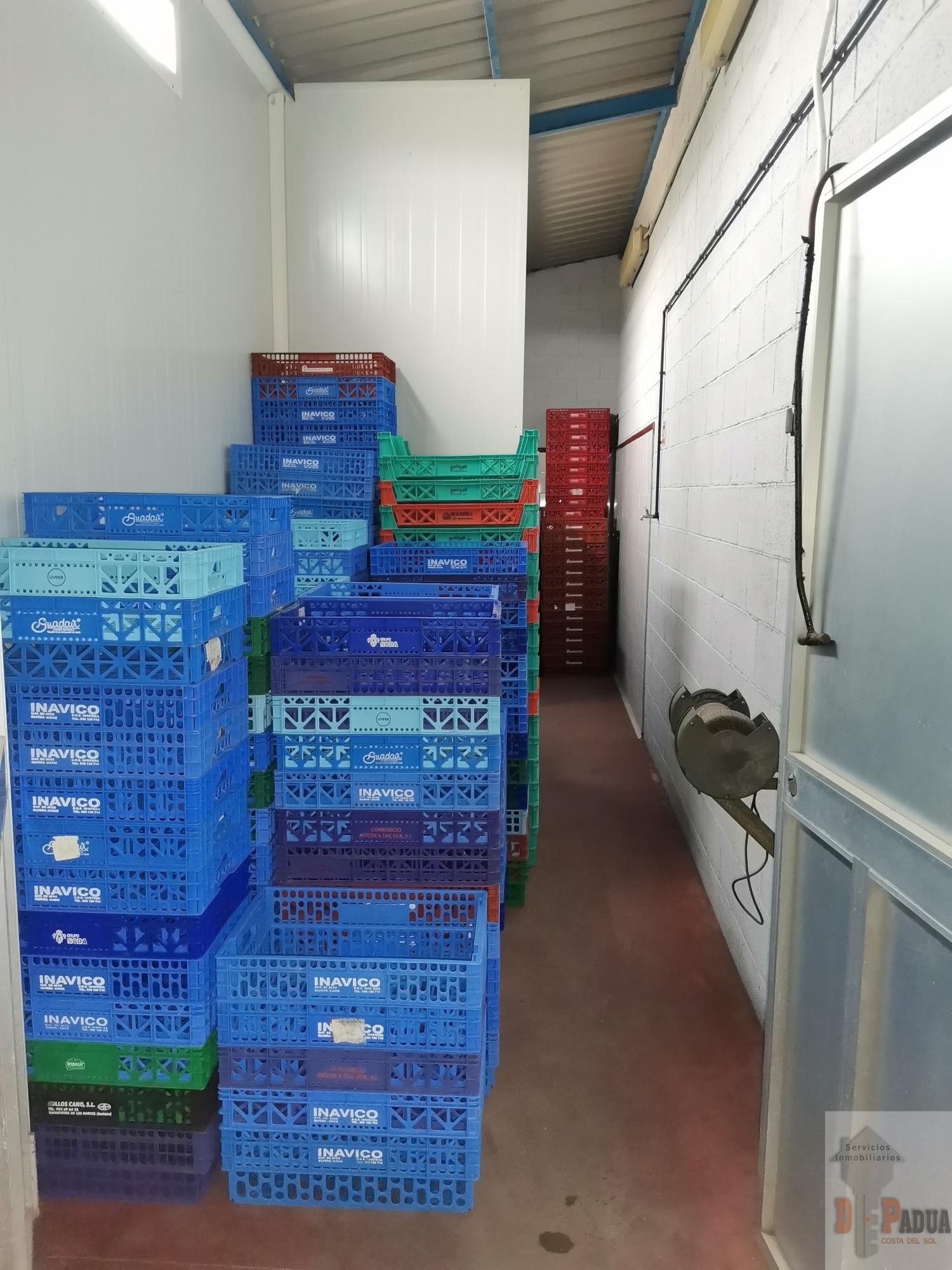 For sale of industrial plant/warehouse in Campillos