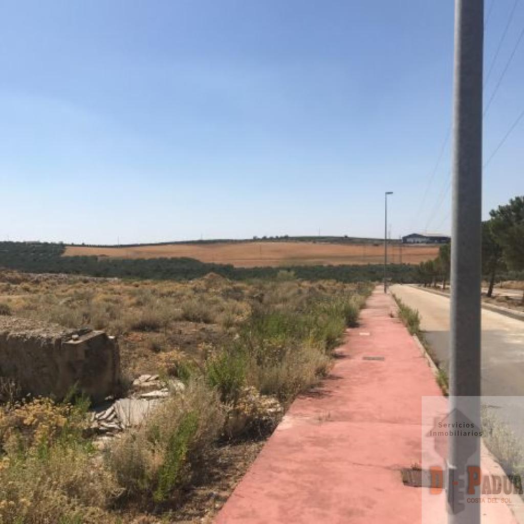 Venta de terreno en Mollina