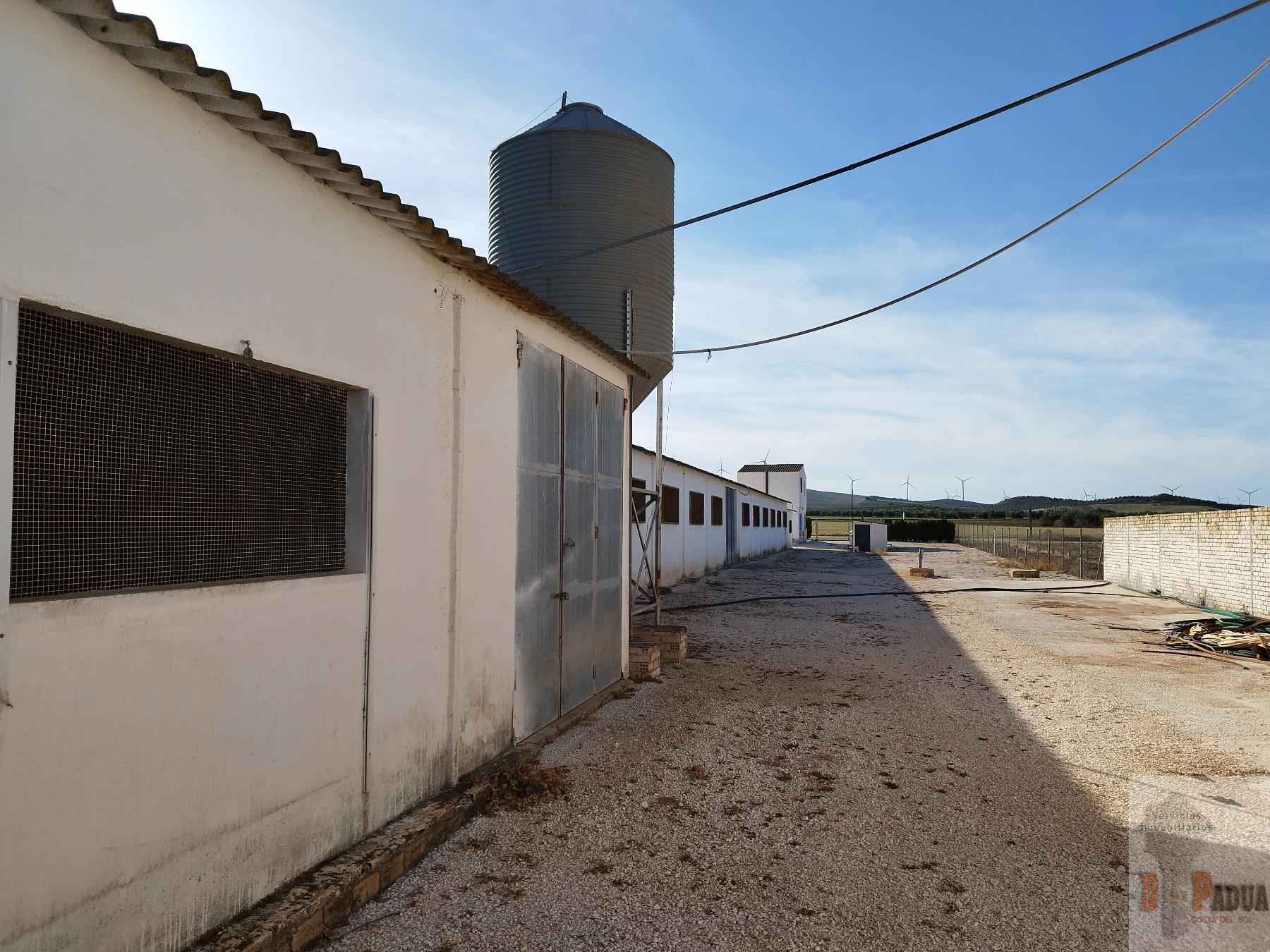 Venta de nave industrial en Campillos