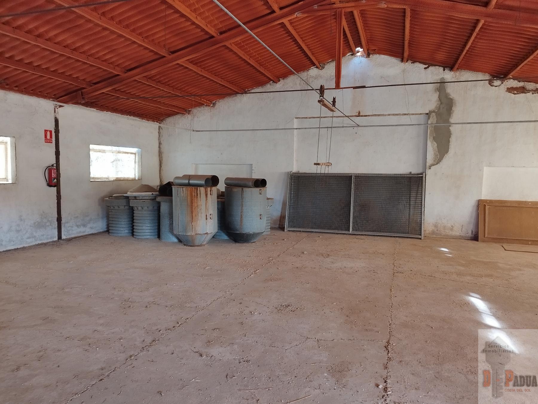 Venta de nave industrial en Campillos