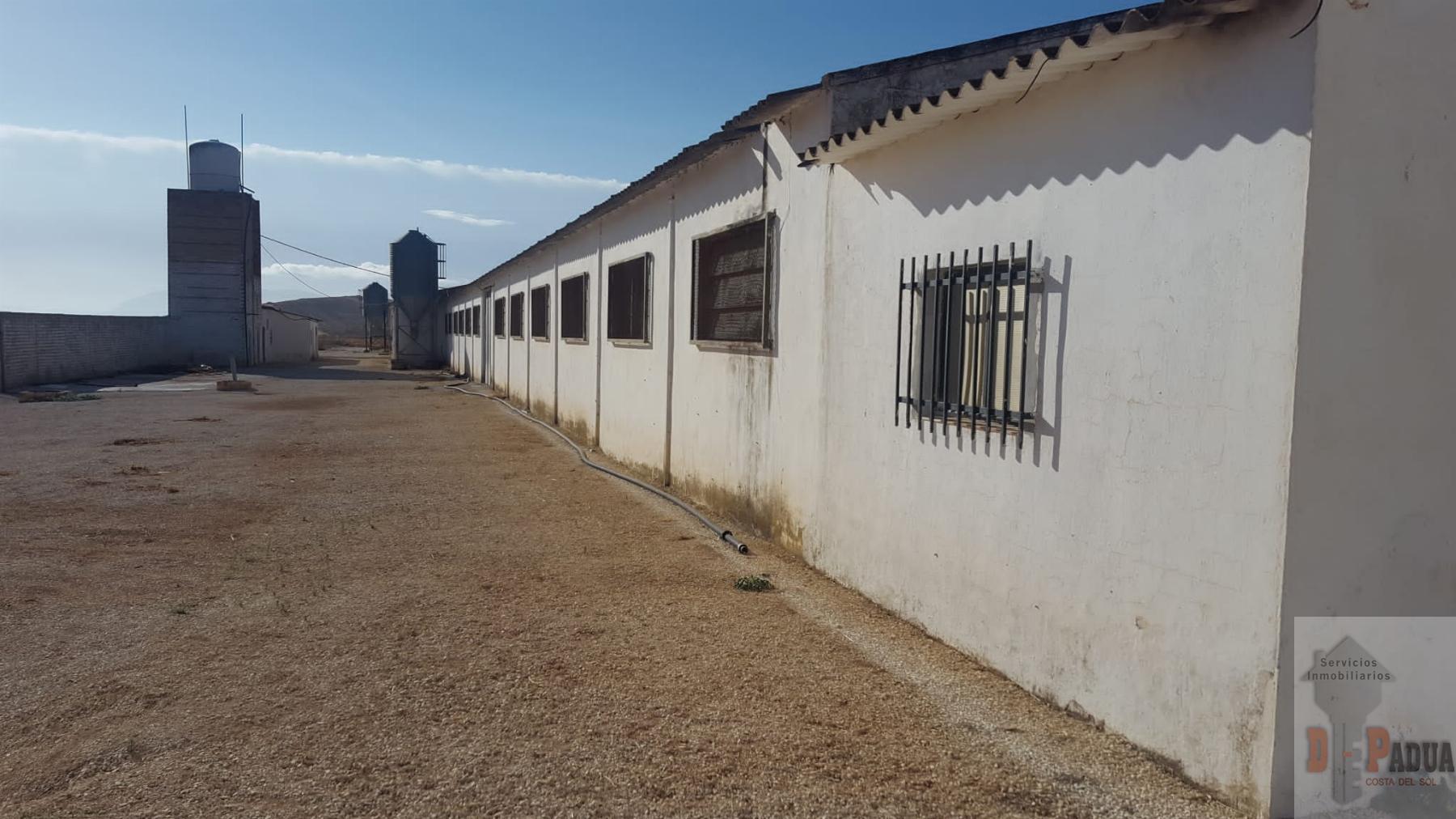 Venta de nave industrial en Campillos