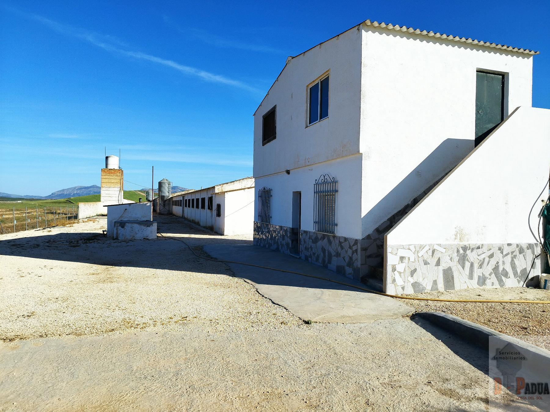 Venta de nave industrial en Campillos