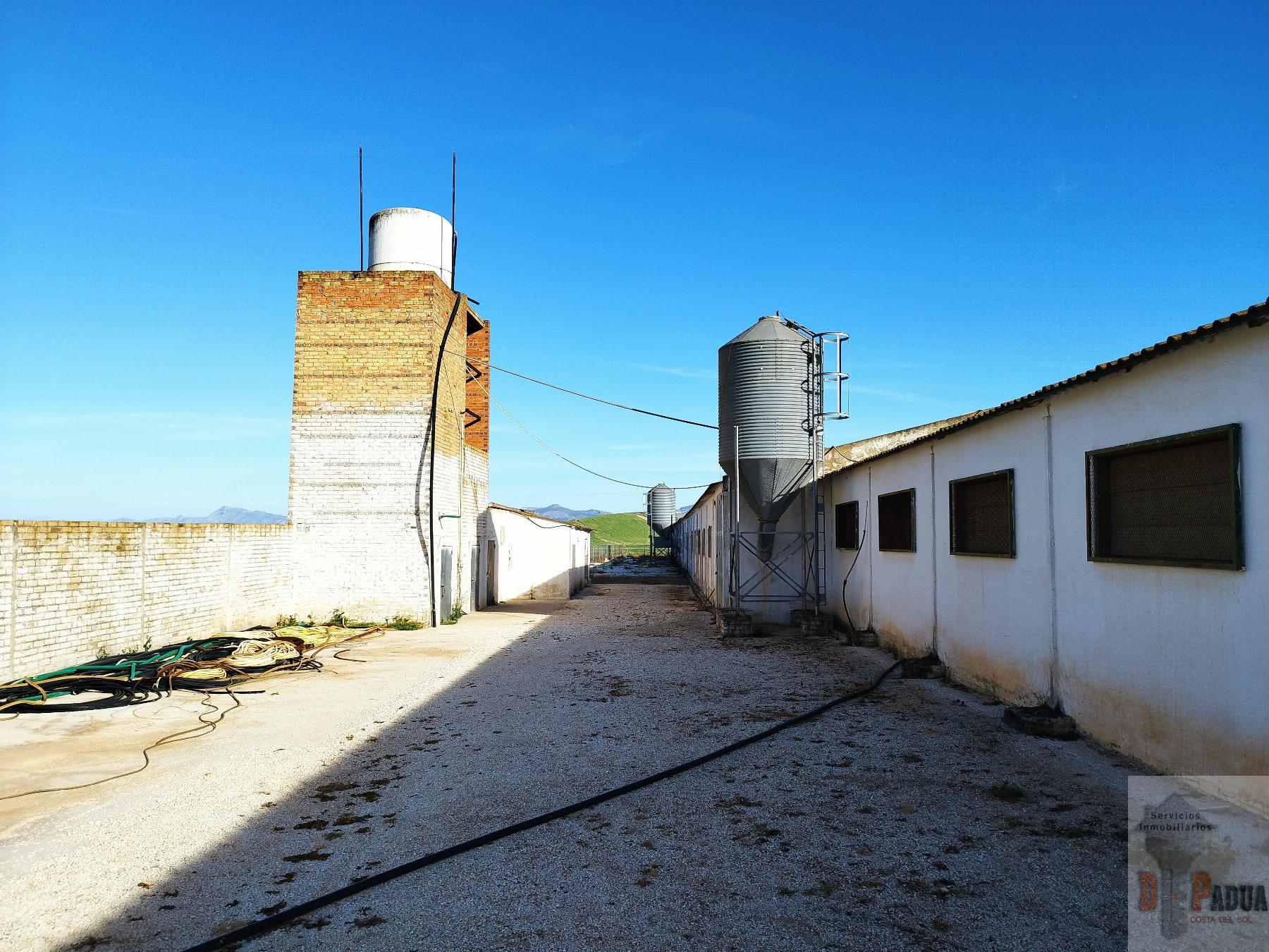 Venta de nave industrial en Campillos