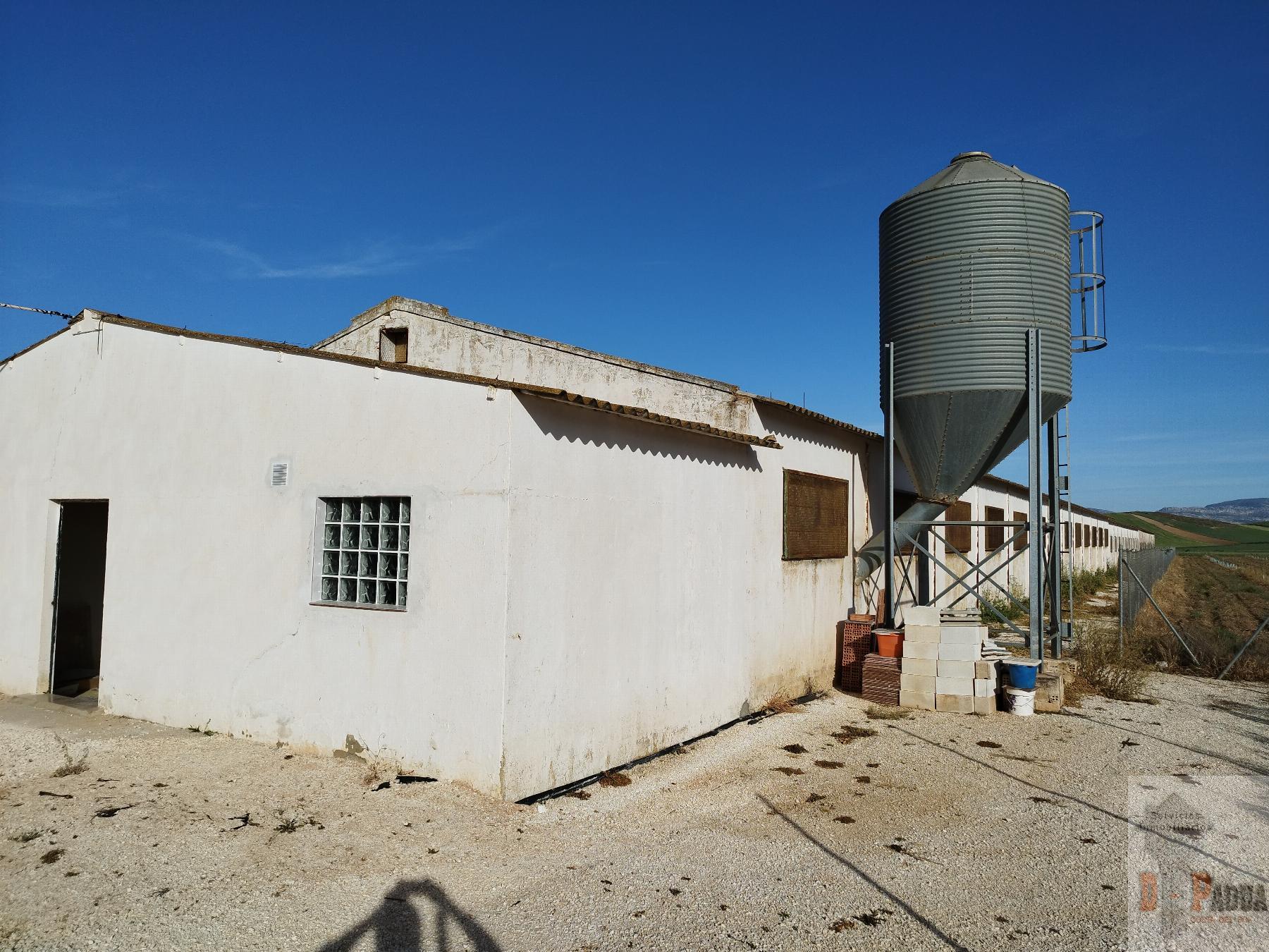 Venta de nave industrial en Campillos