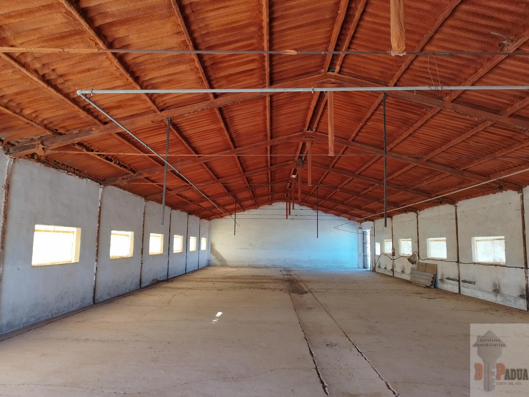 Venta de nave industrial en Campillos