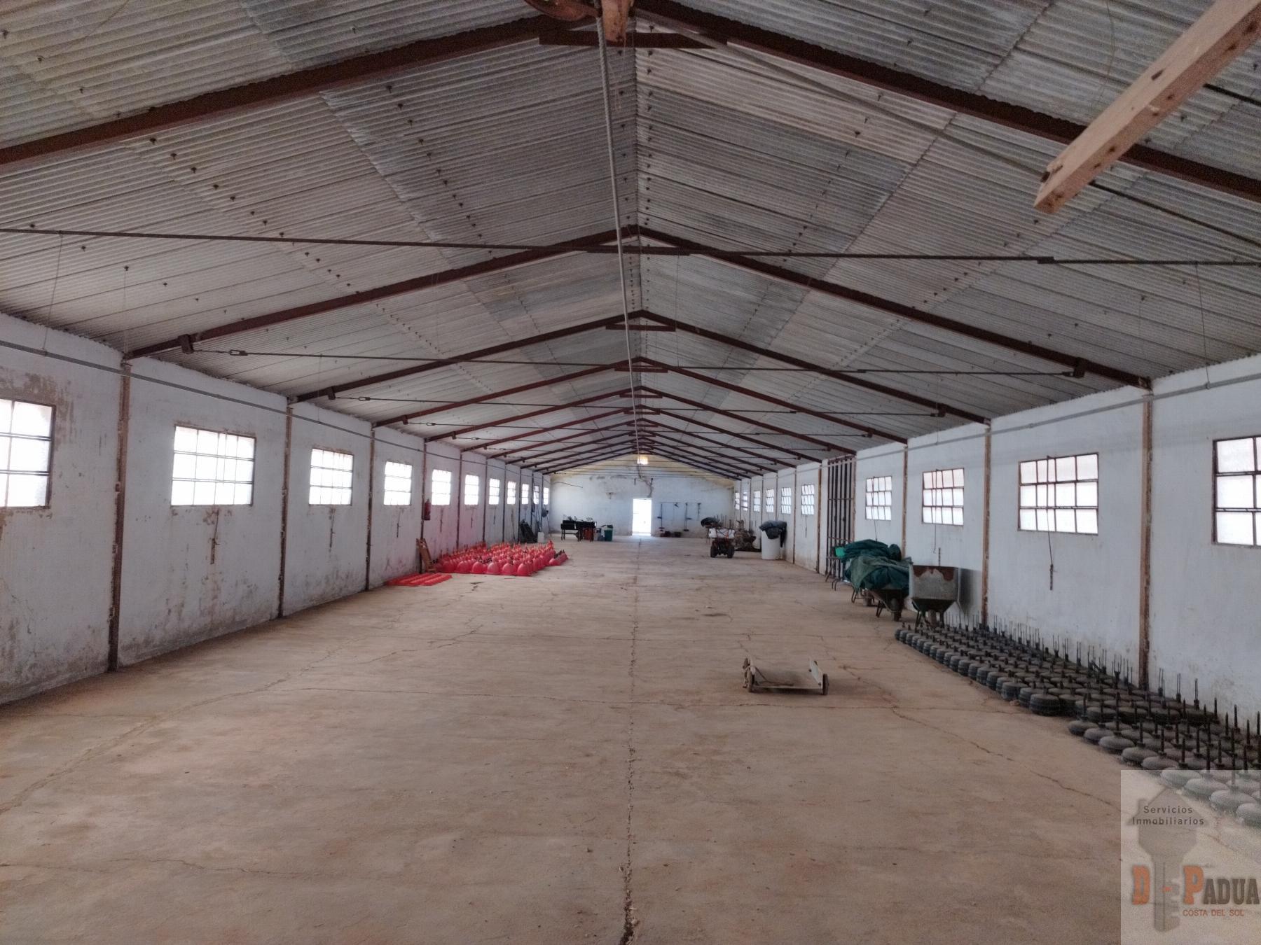 Venta de nave industrial en Campillos