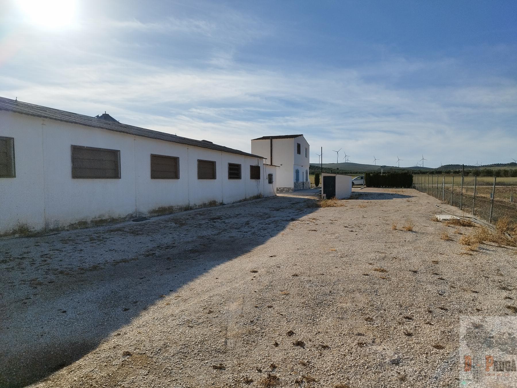 Venta de nave industrial en Campillos