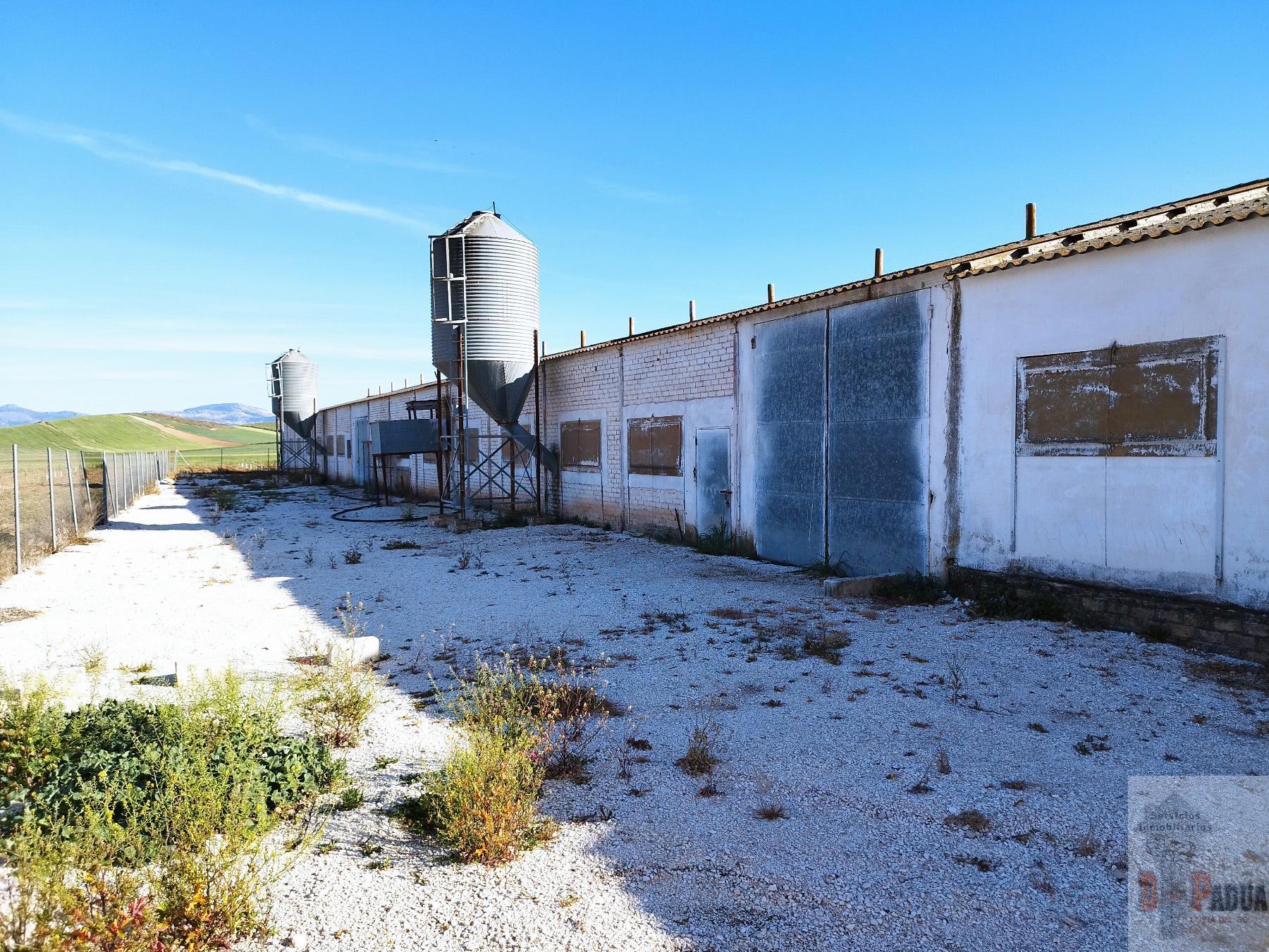 Venta de nave industrial en Campillos