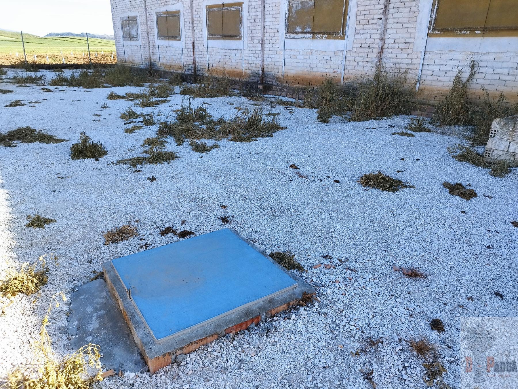 Venta de nave industrial en Campillos