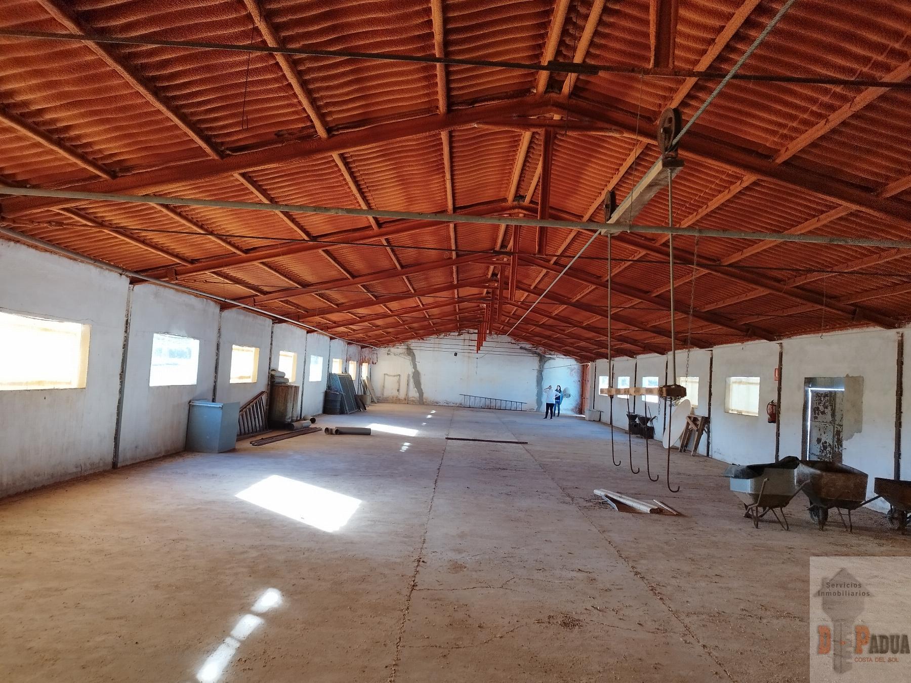 Venta de nave industrial en Campillos
