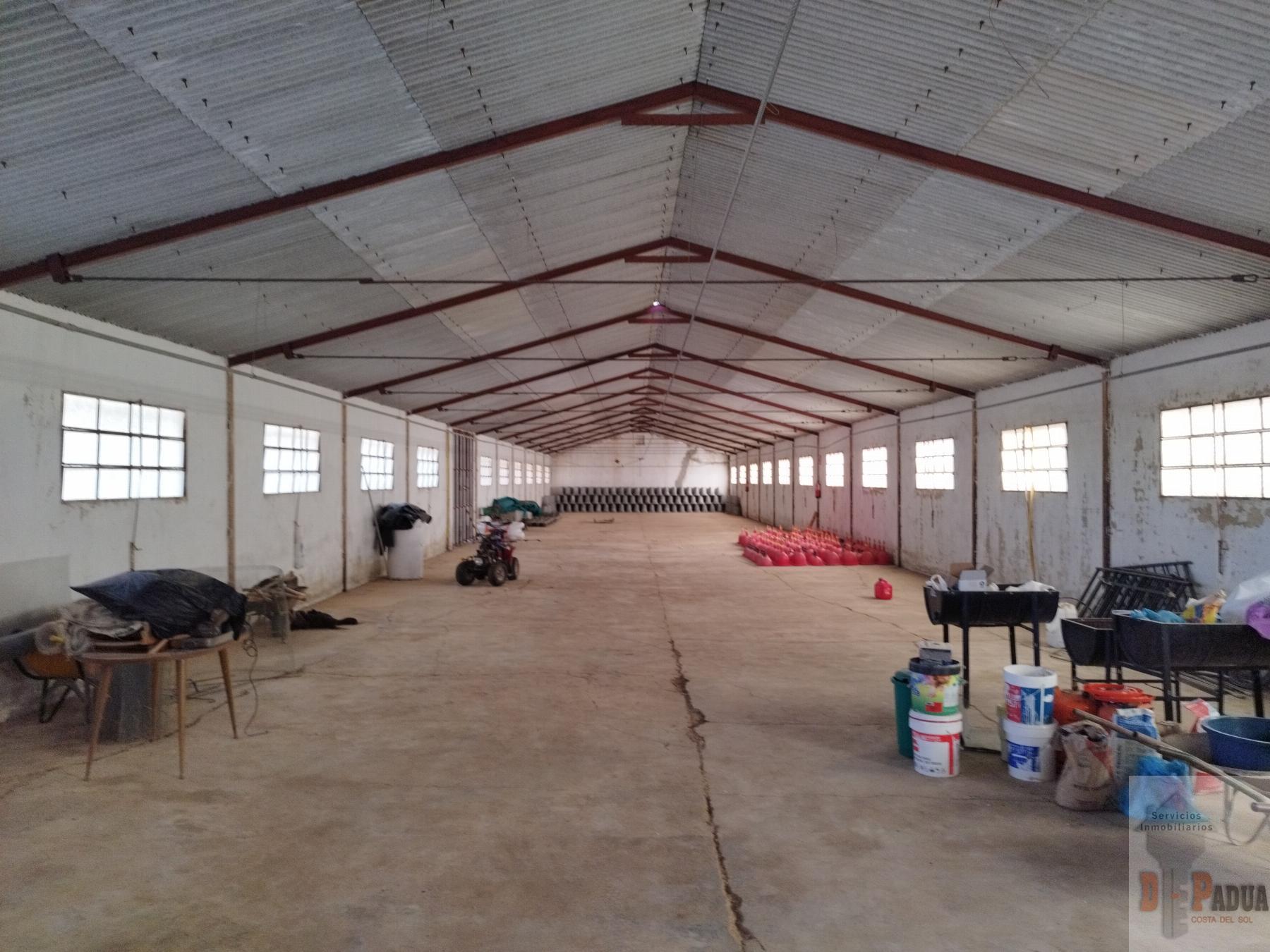 Venta de nave industrial en Campillos