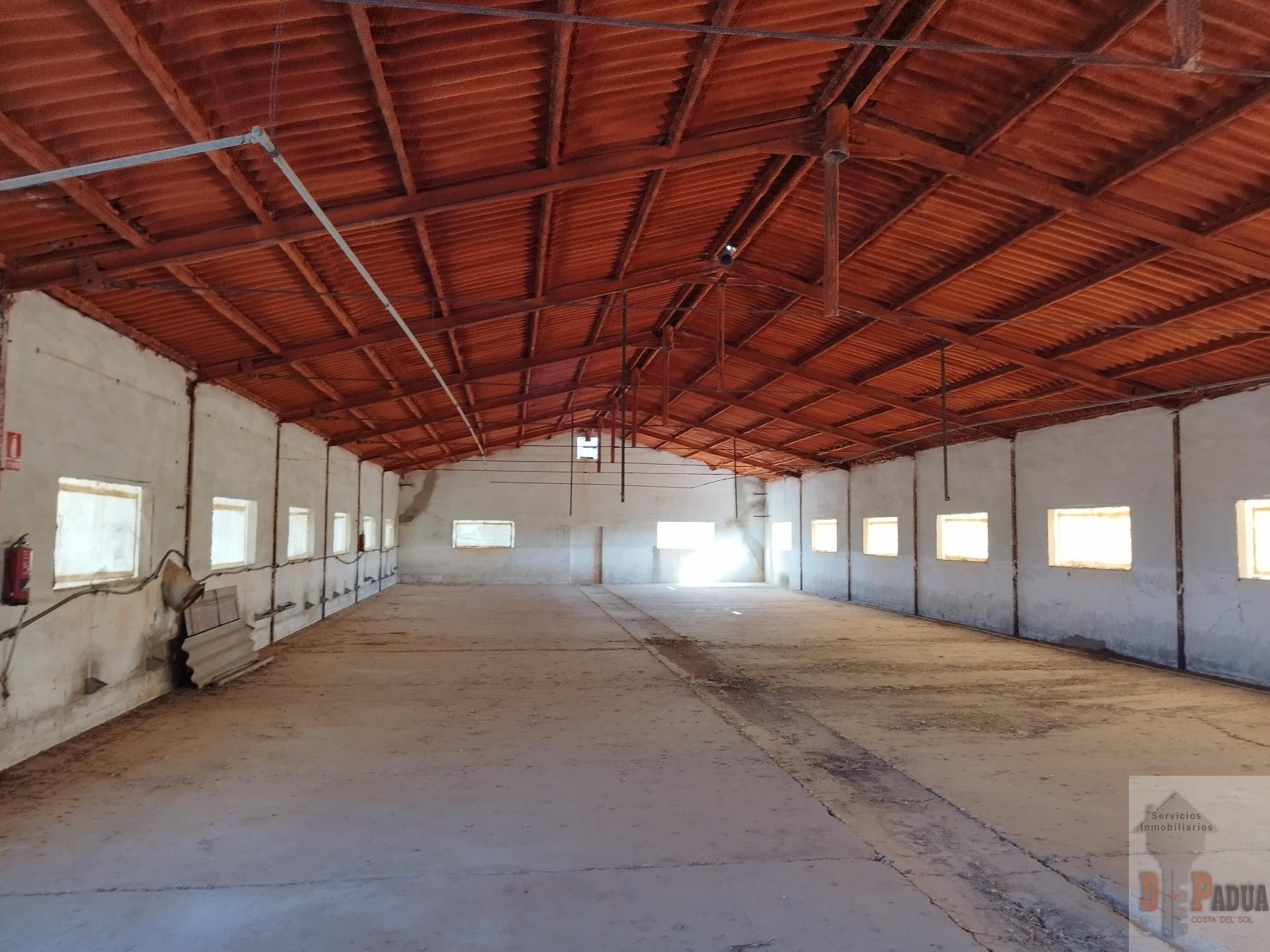 Venta de nave industrial en Campillos