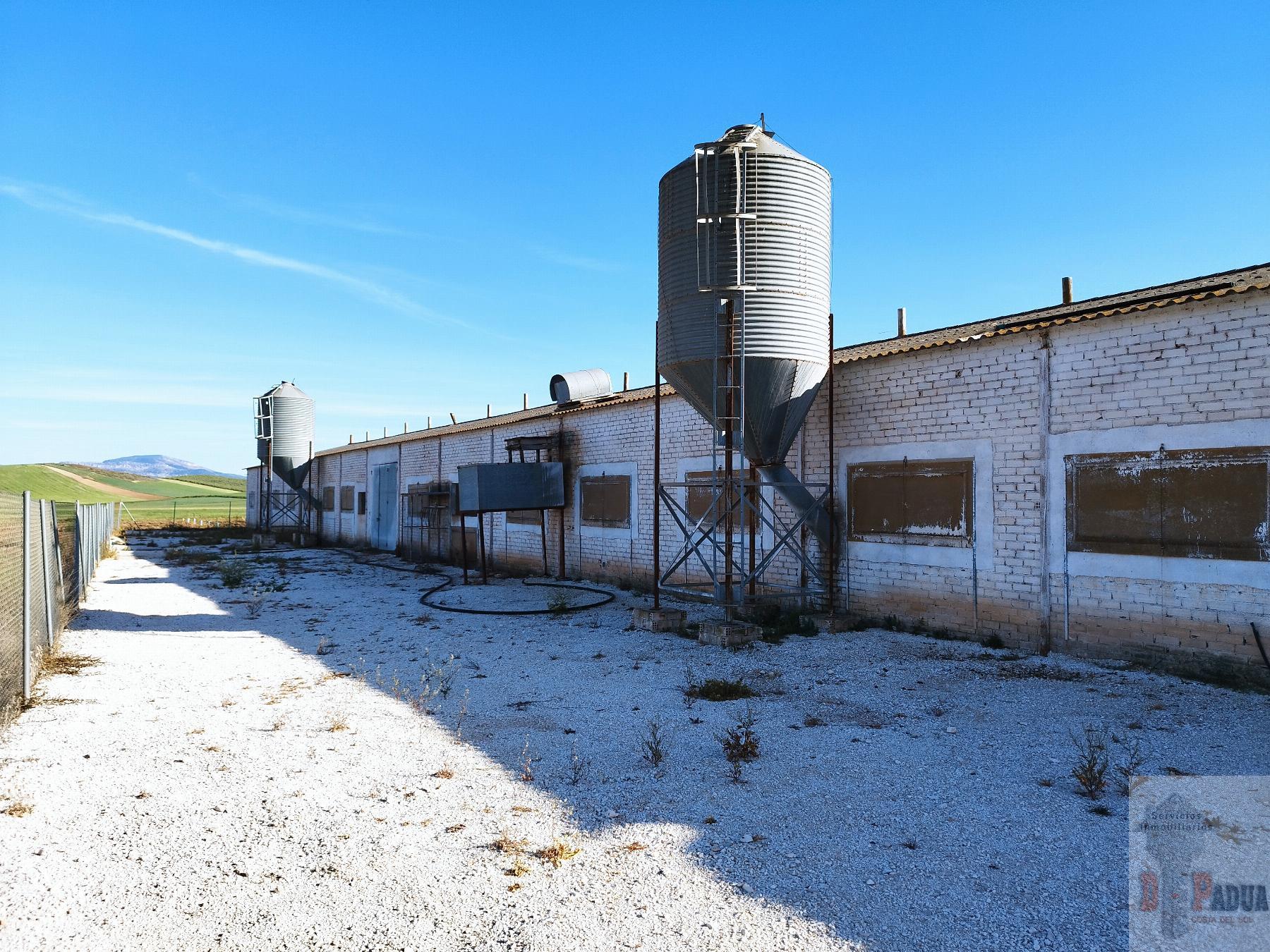 Venta de nave industrial en Campillos