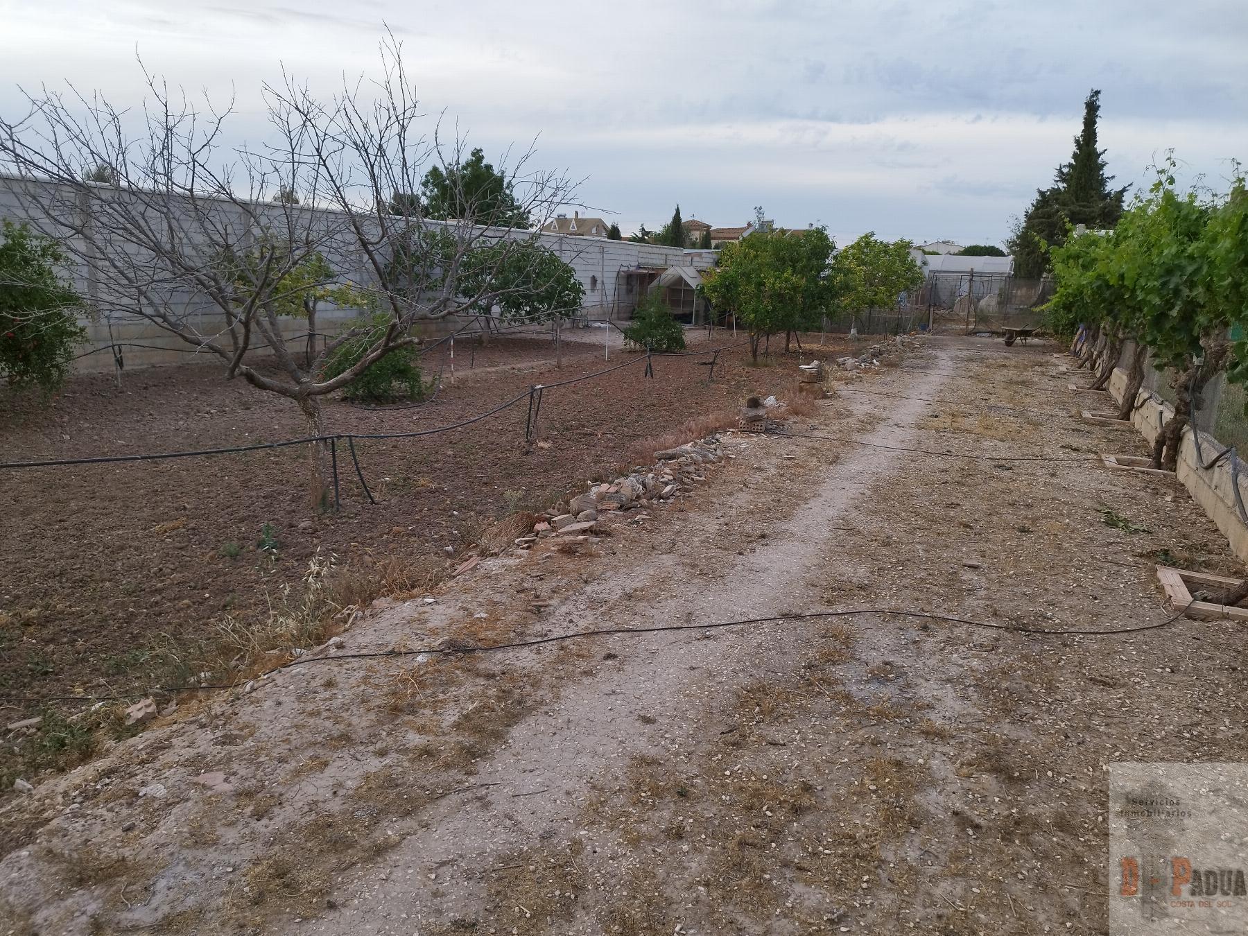 For sale of land in Campillos