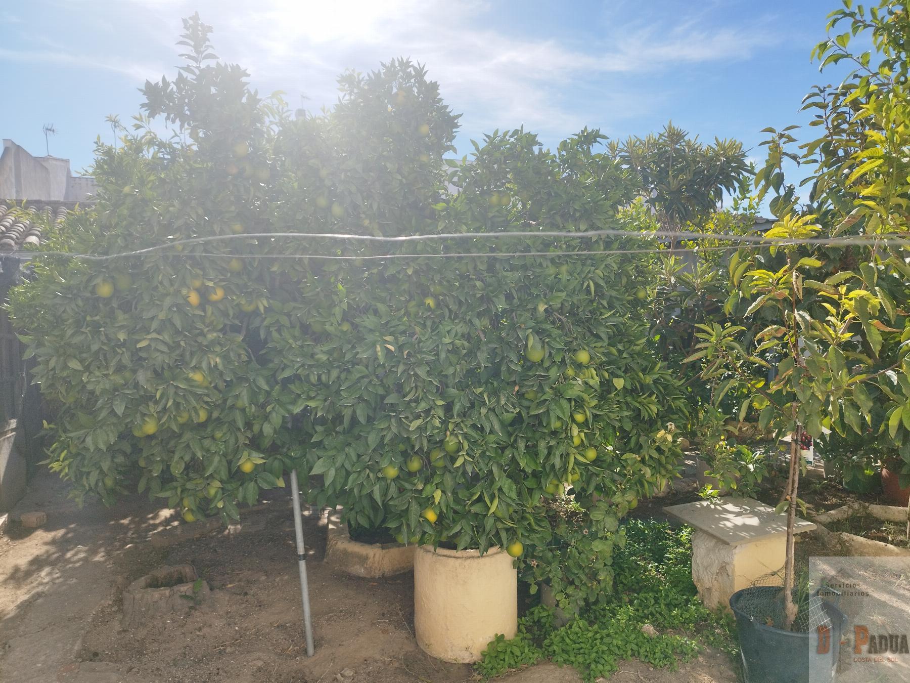 For sale of house in Campillos