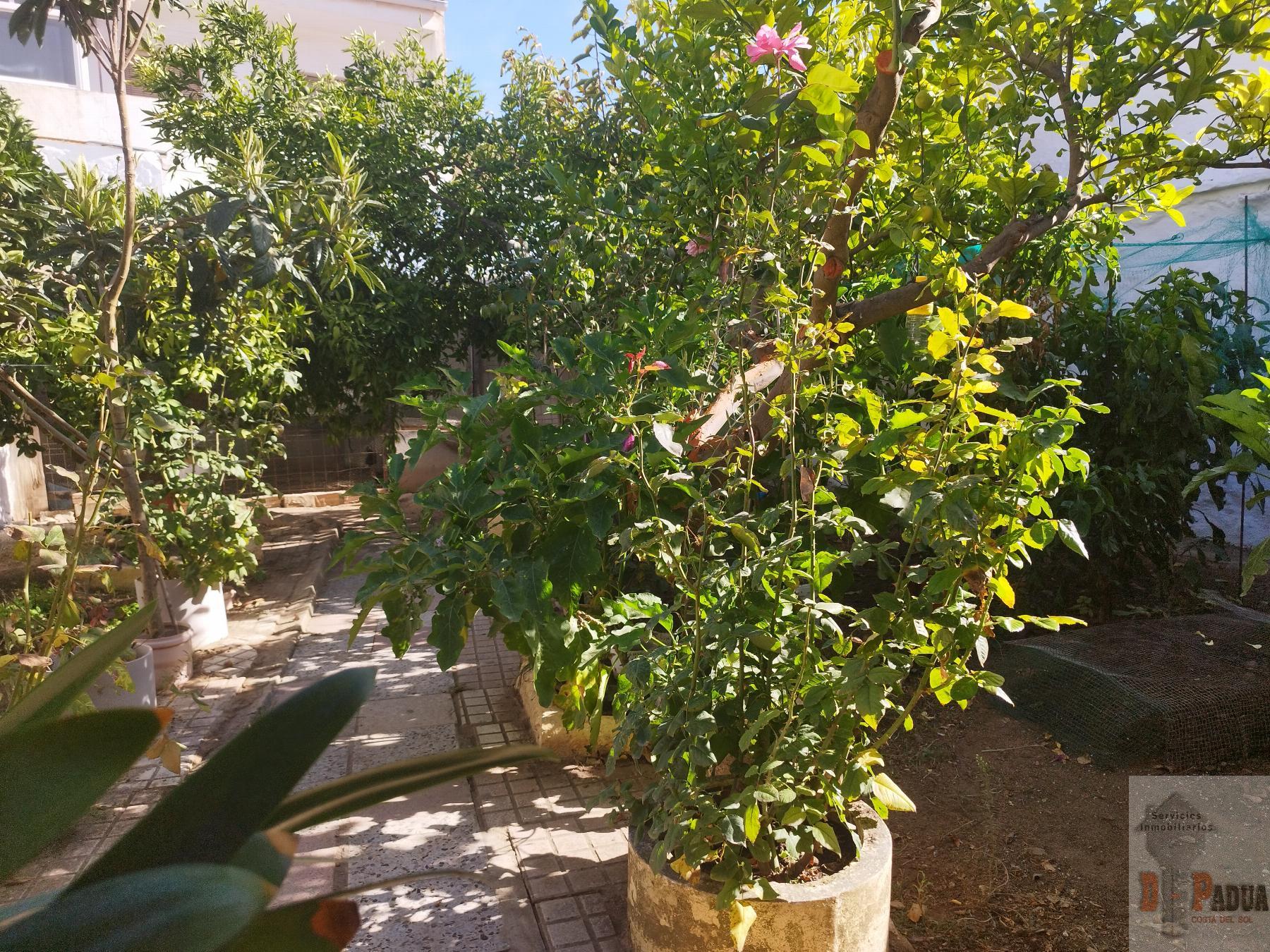 For sale of house in Campillos