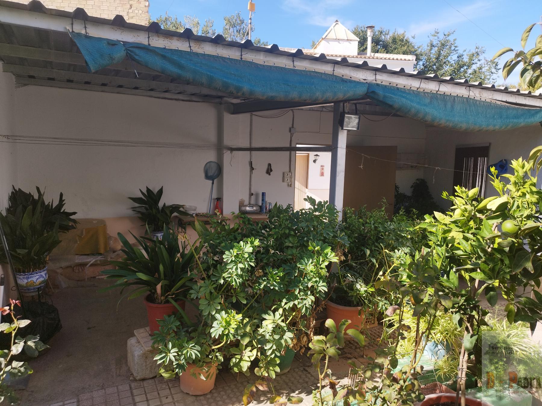 For sale of house in Campillos