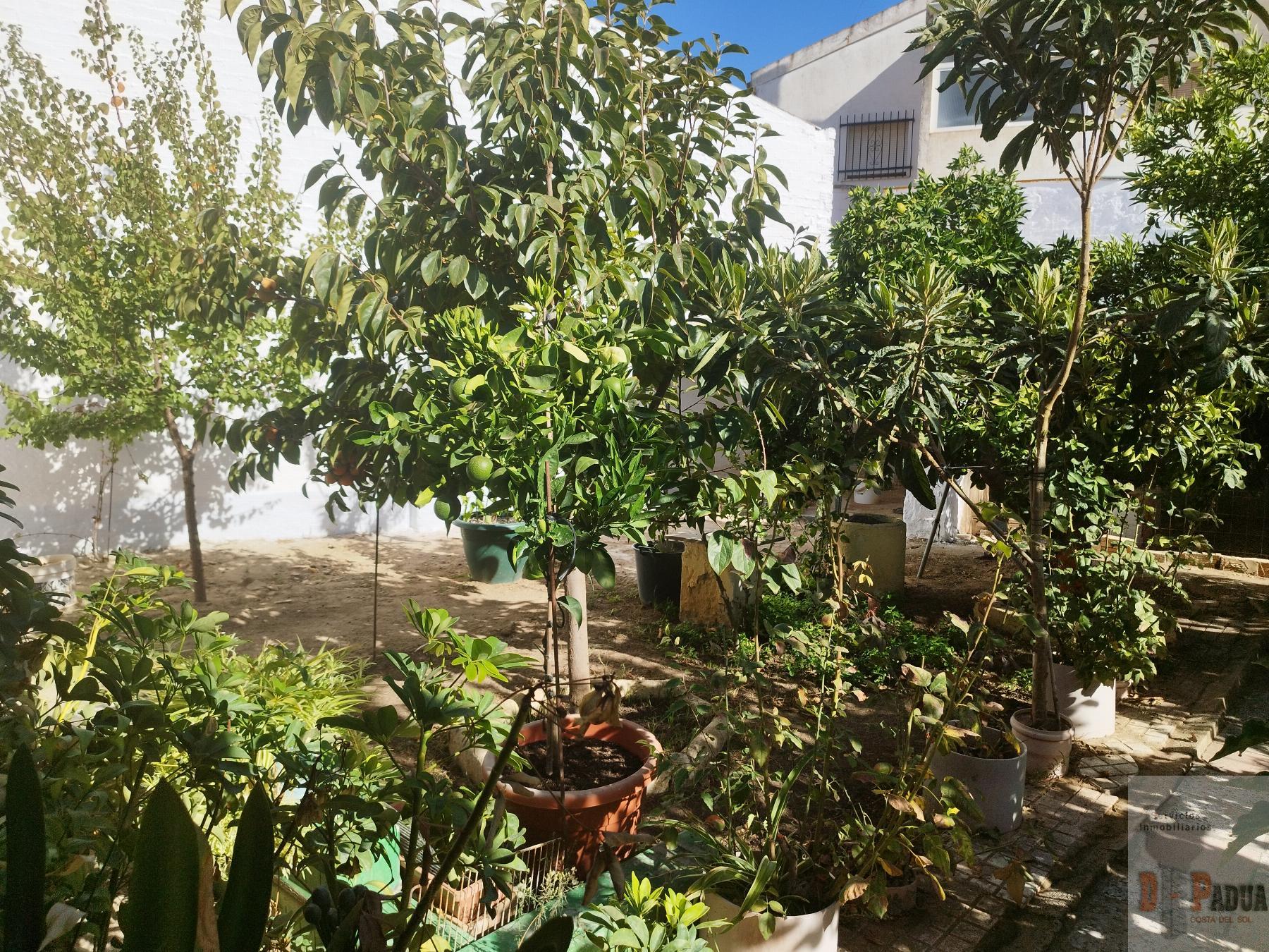 For sale of house in Campillos