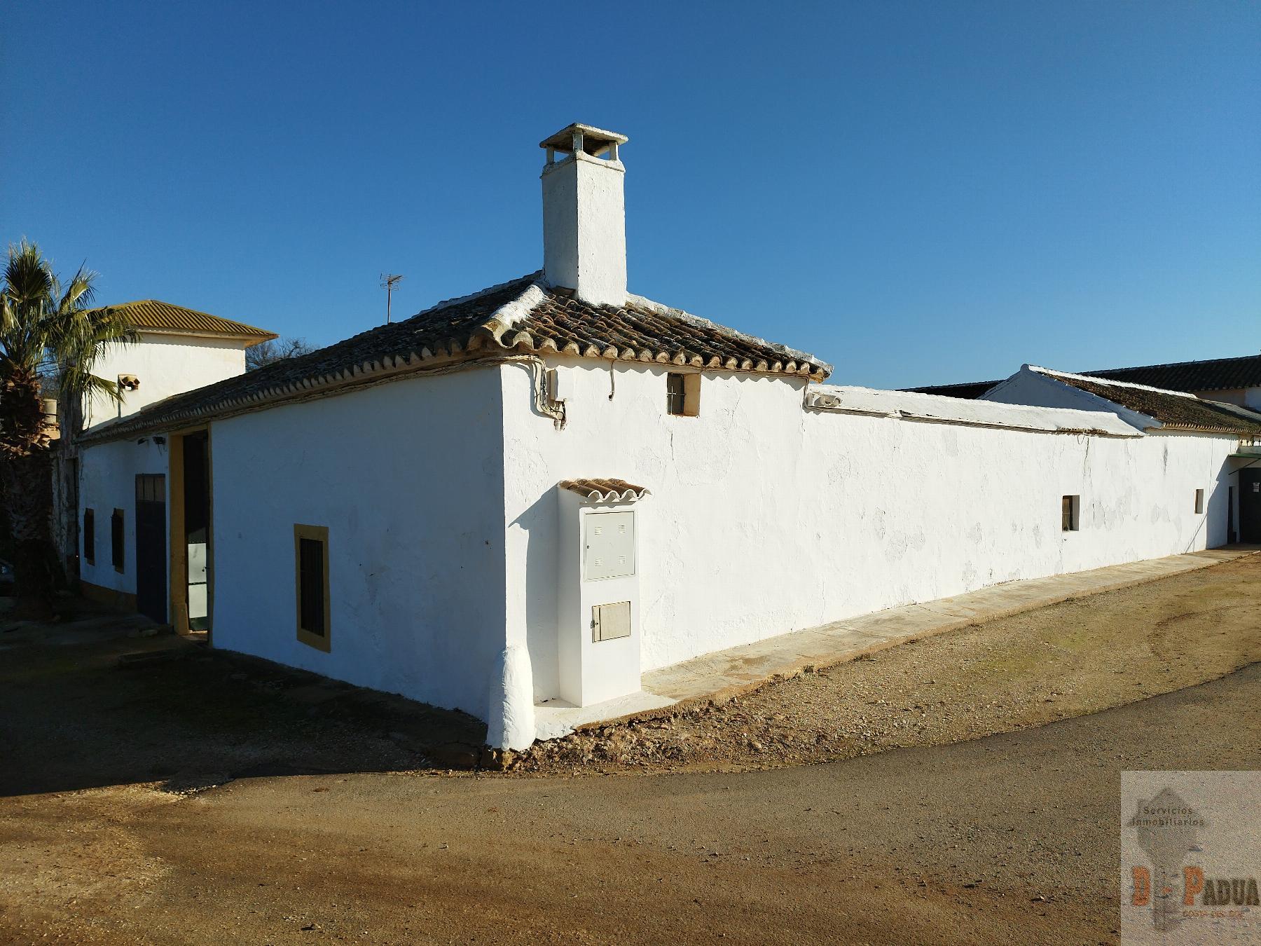 For sale of house in Campillos