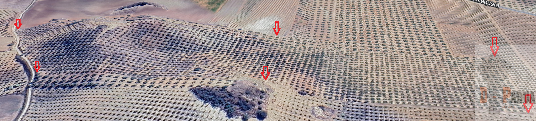 For sale of land in Campillos
