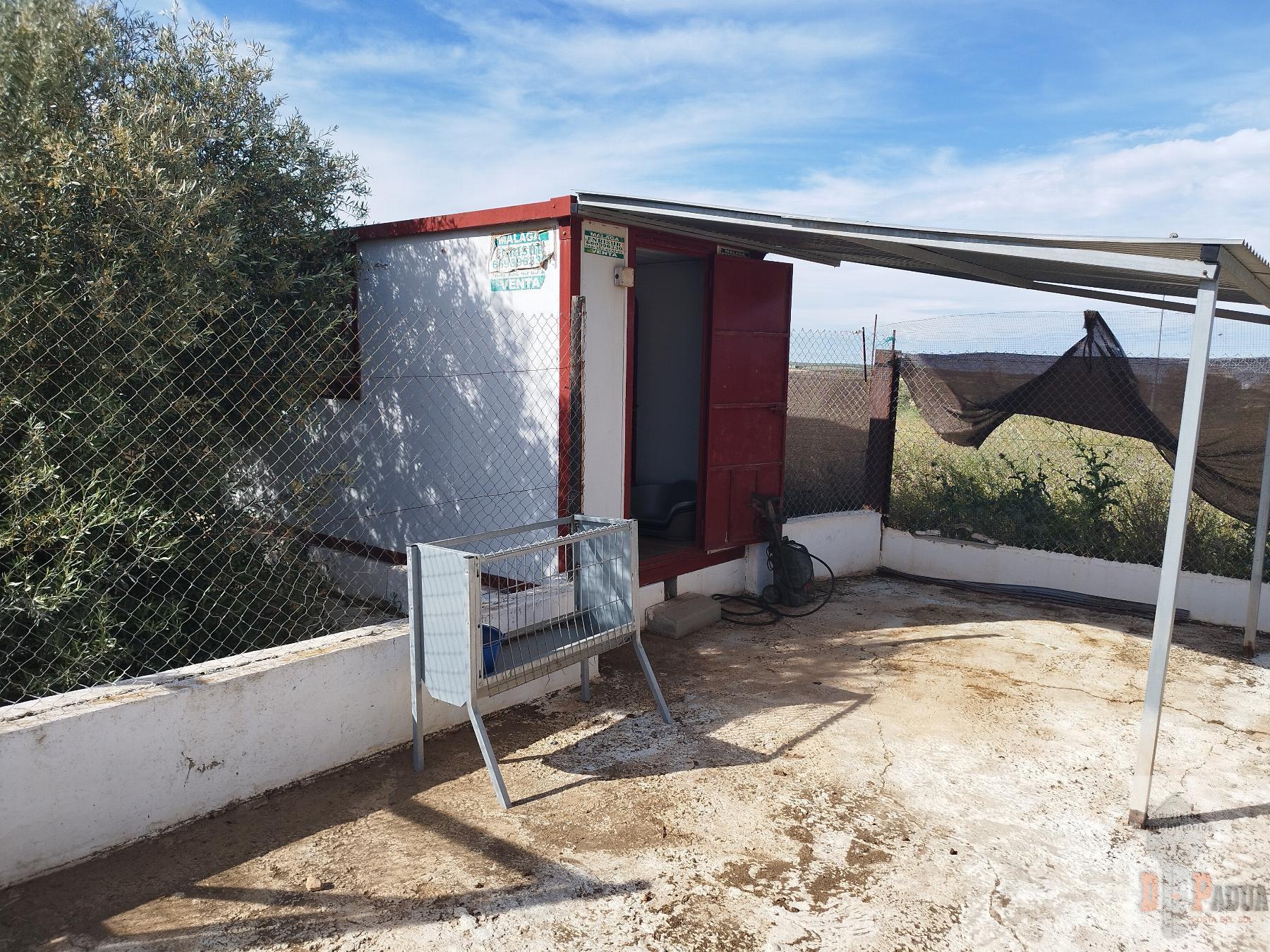 For sale of house in Campillos