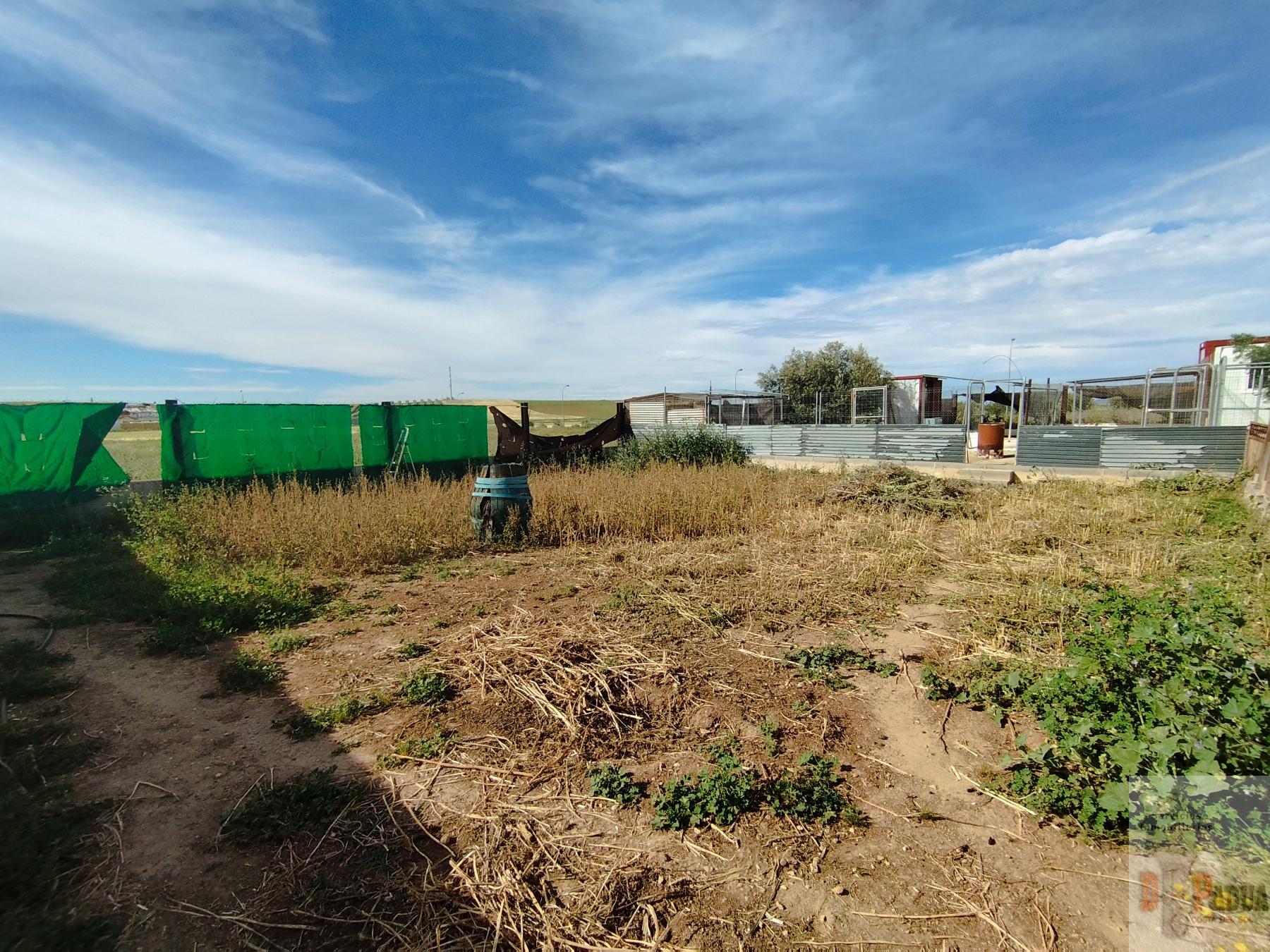 For sale of house in Campillos