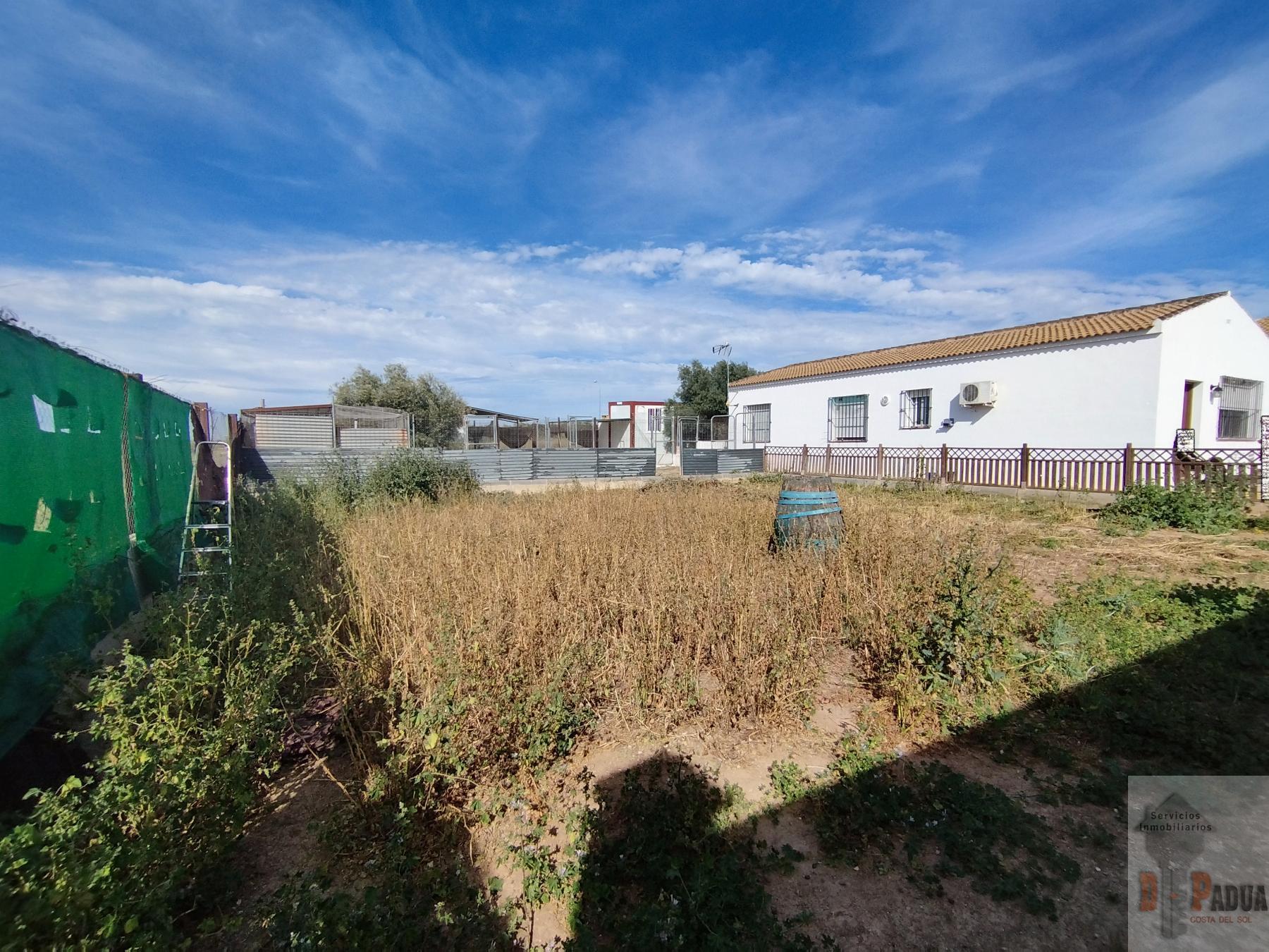 For sale of house in Campillos