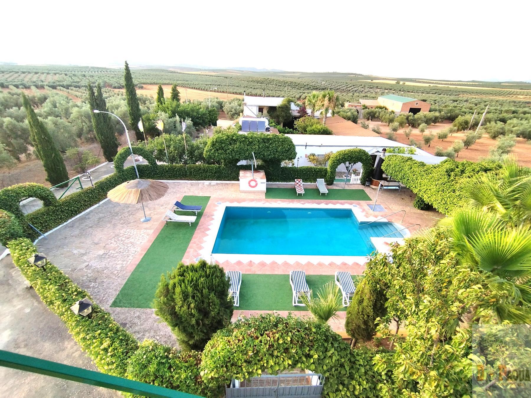 Venta de finca rústica en Campillos