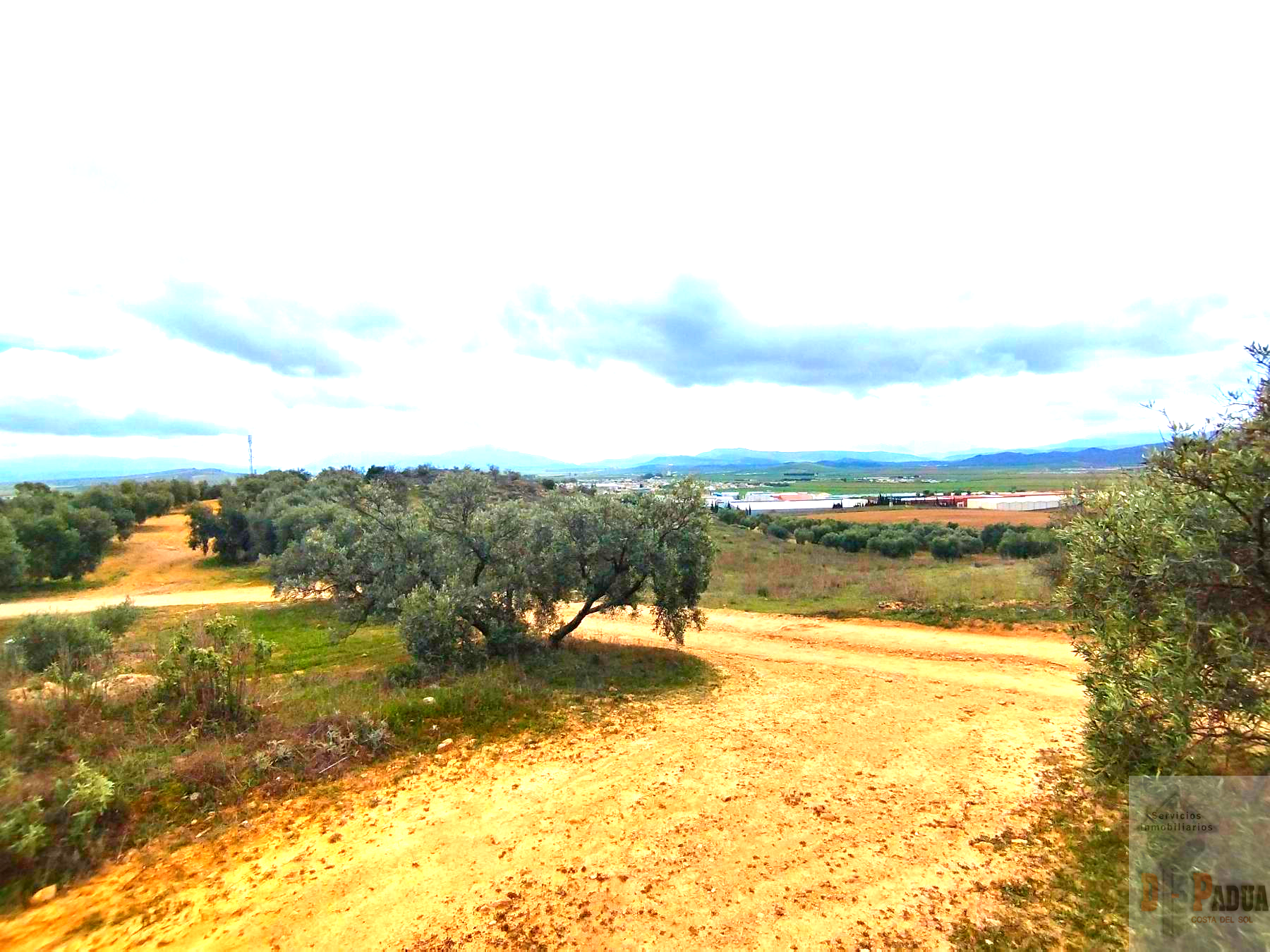 Venta de terreno en Campillos