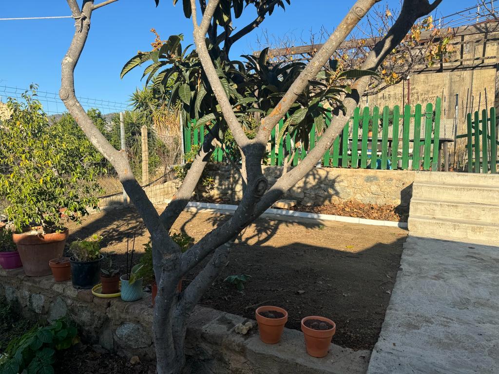 For sale of rural property in Montgat