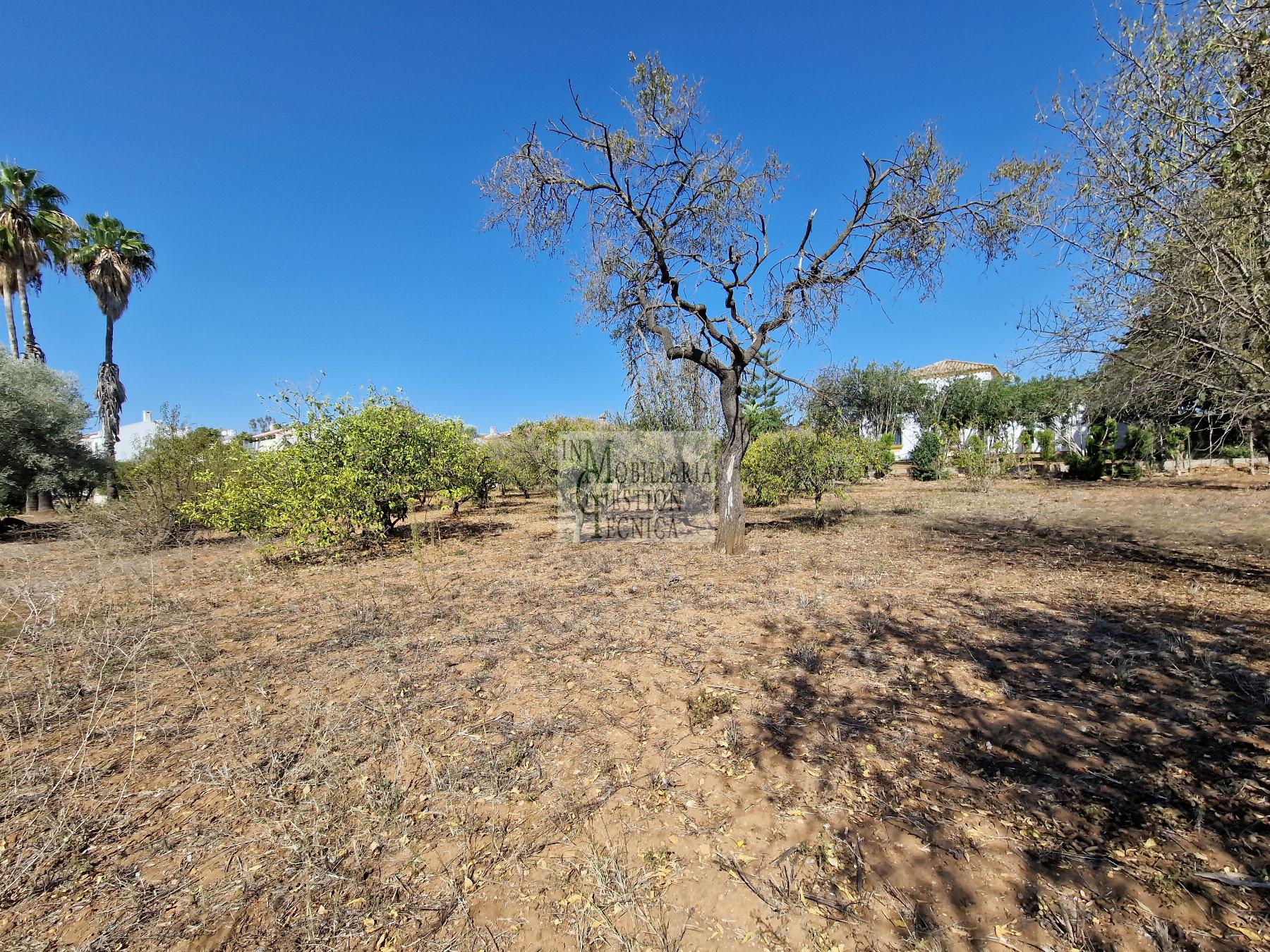 Venta de chalet en El Puerto de Santa María