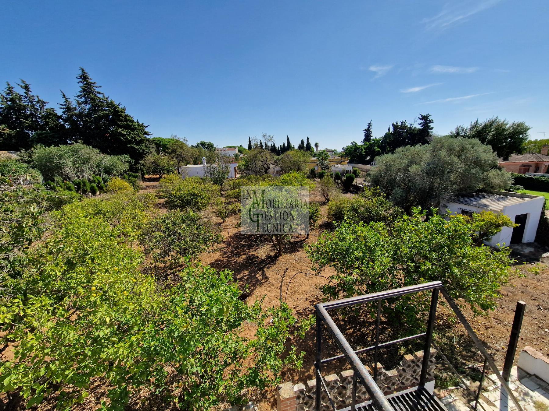 Venta de chalet en El Puerto de Santa María