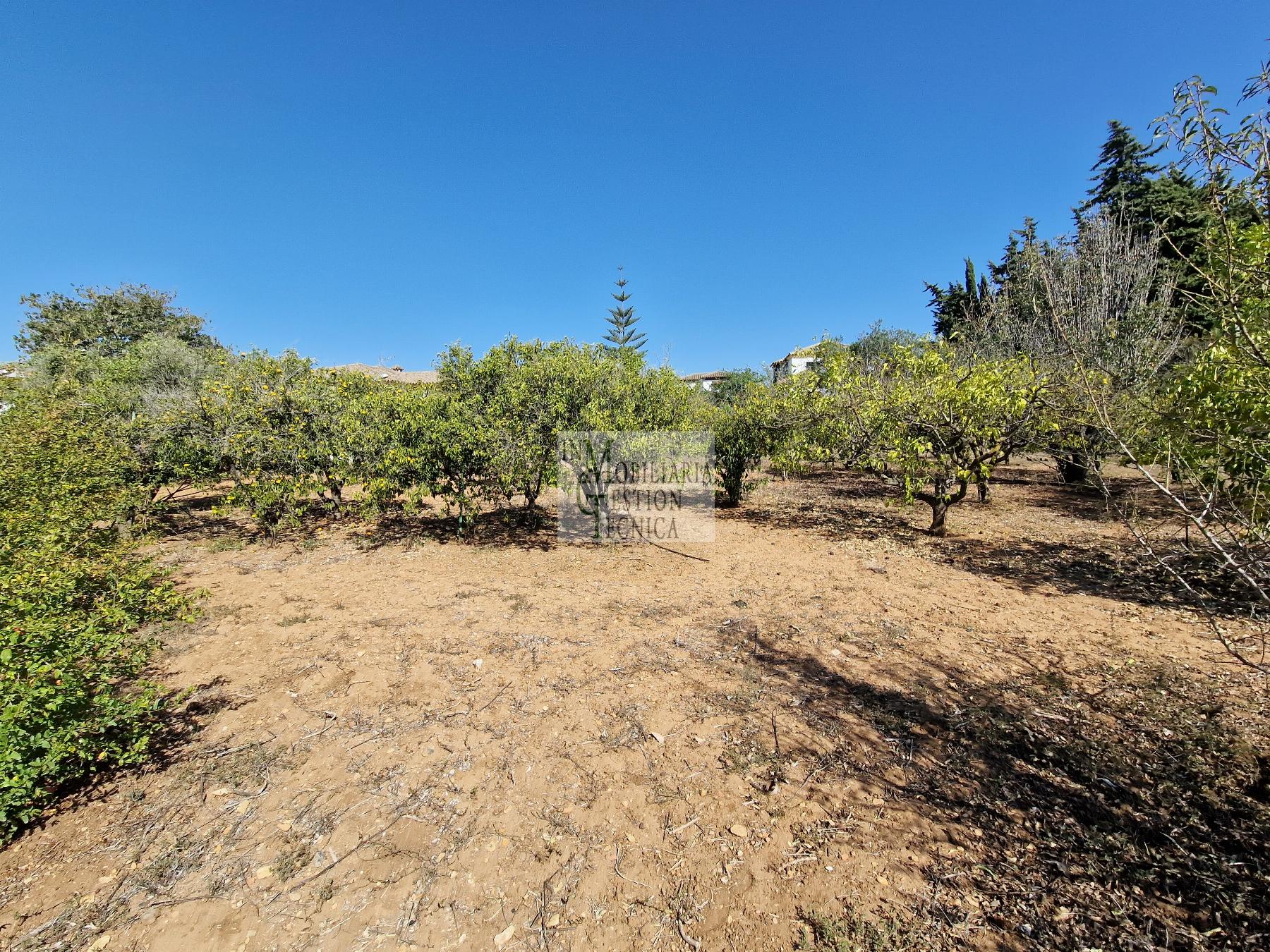 Terreno