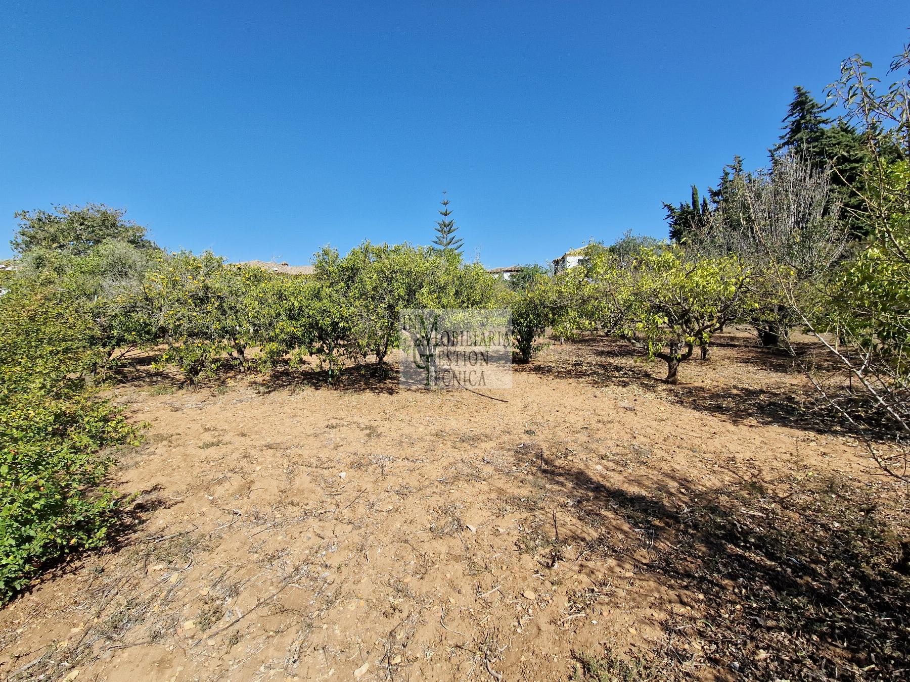 Venta de chalet en El Puerto de Santa María