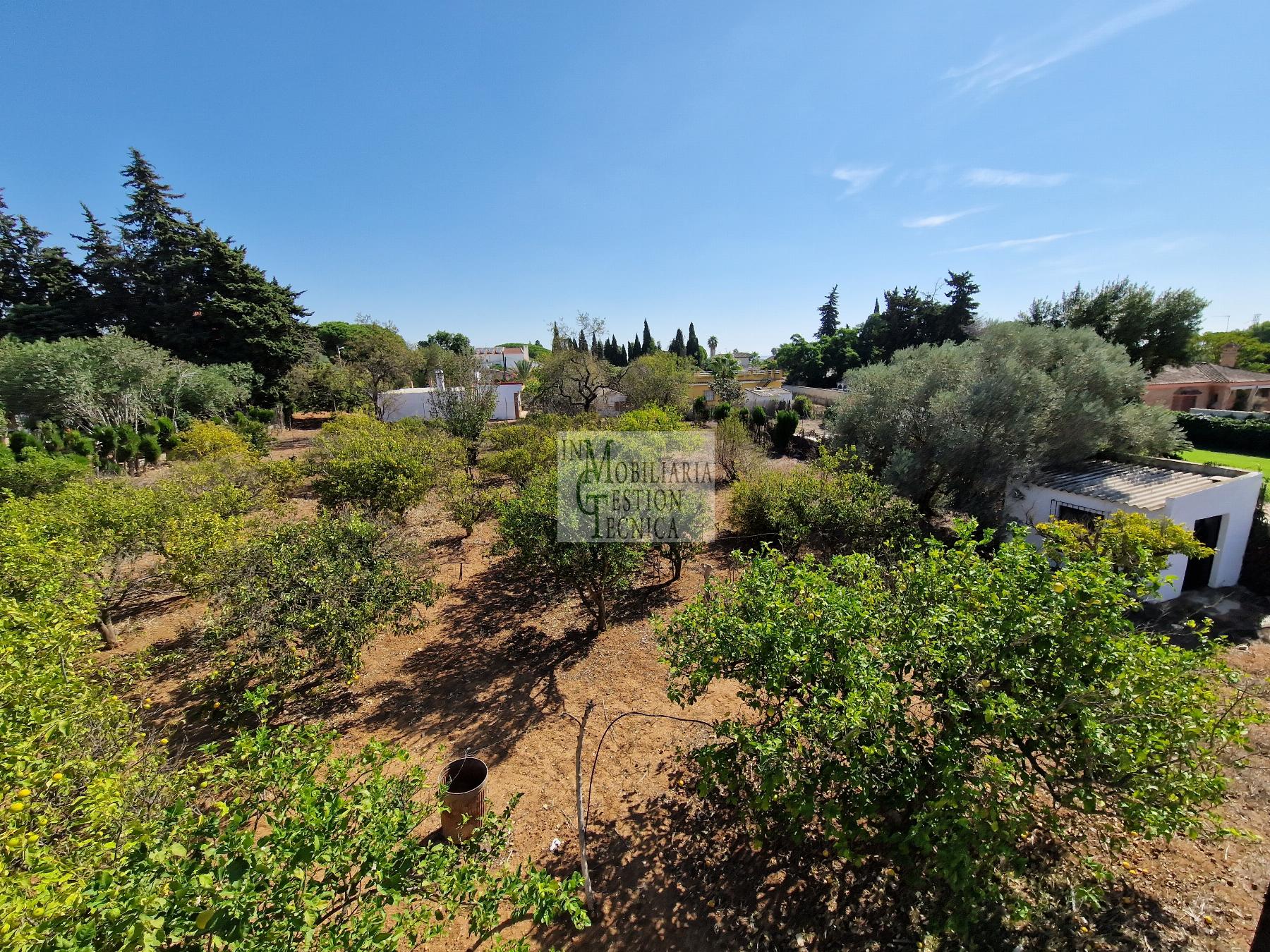 Terreno