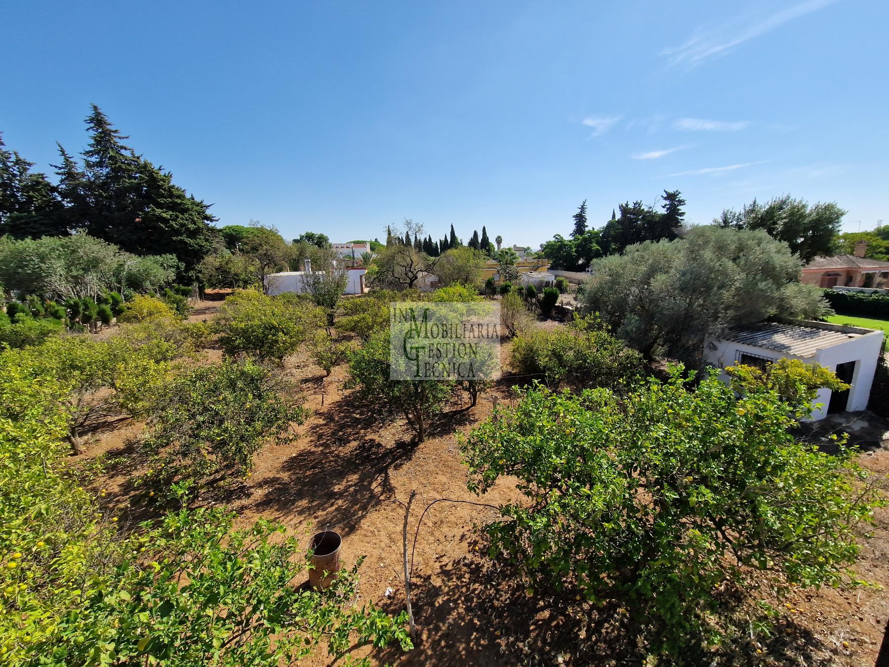 Venta de chalet en El Puerto de Santa María