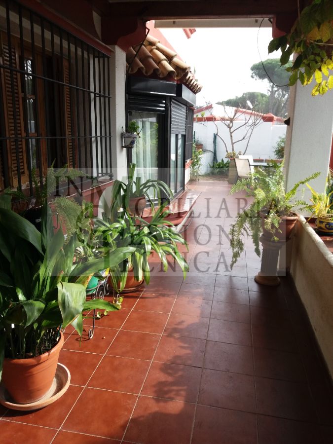 Jardín